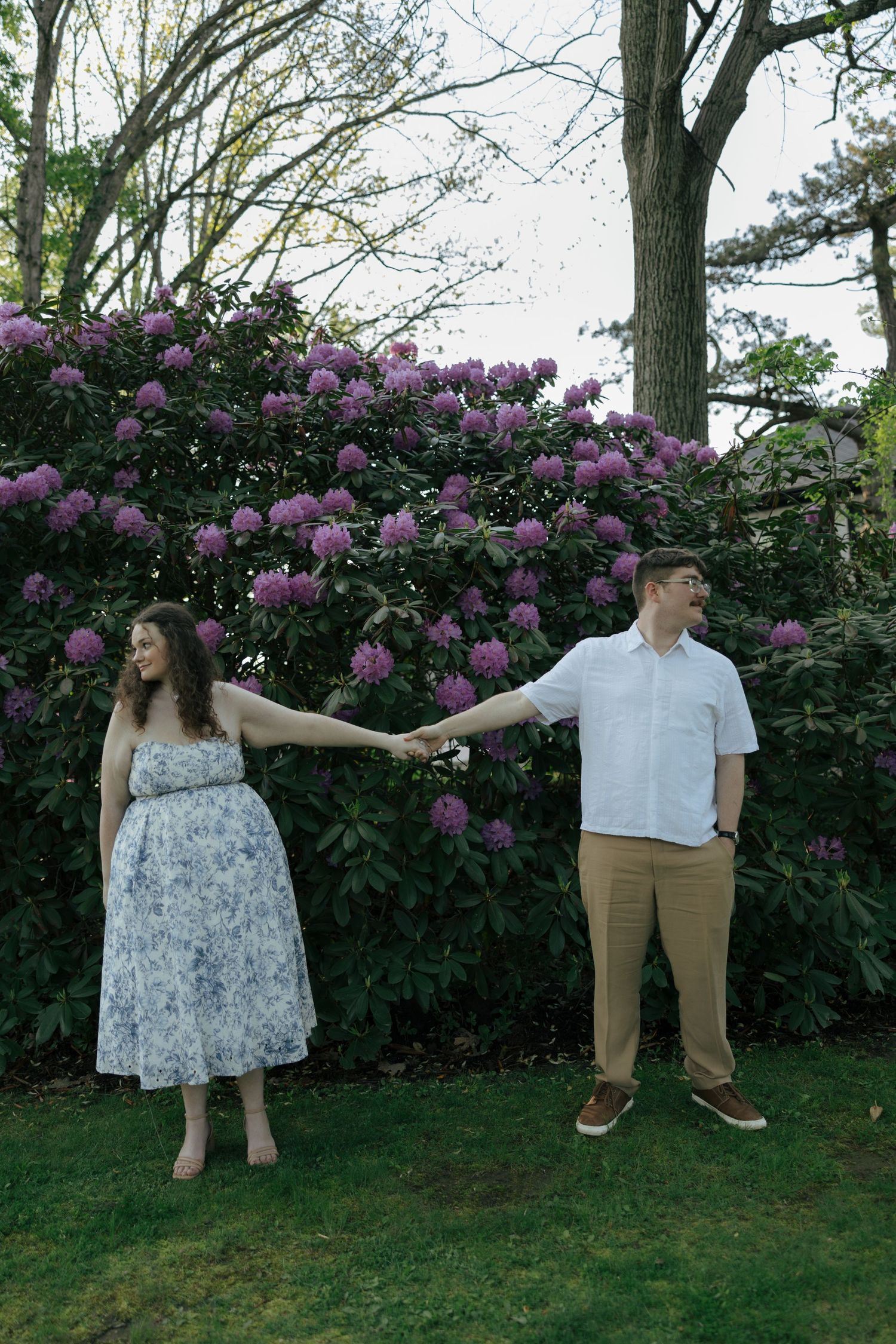 Joyful couple holding hands and laughing in front of large blooming purple rhododendron bushes.