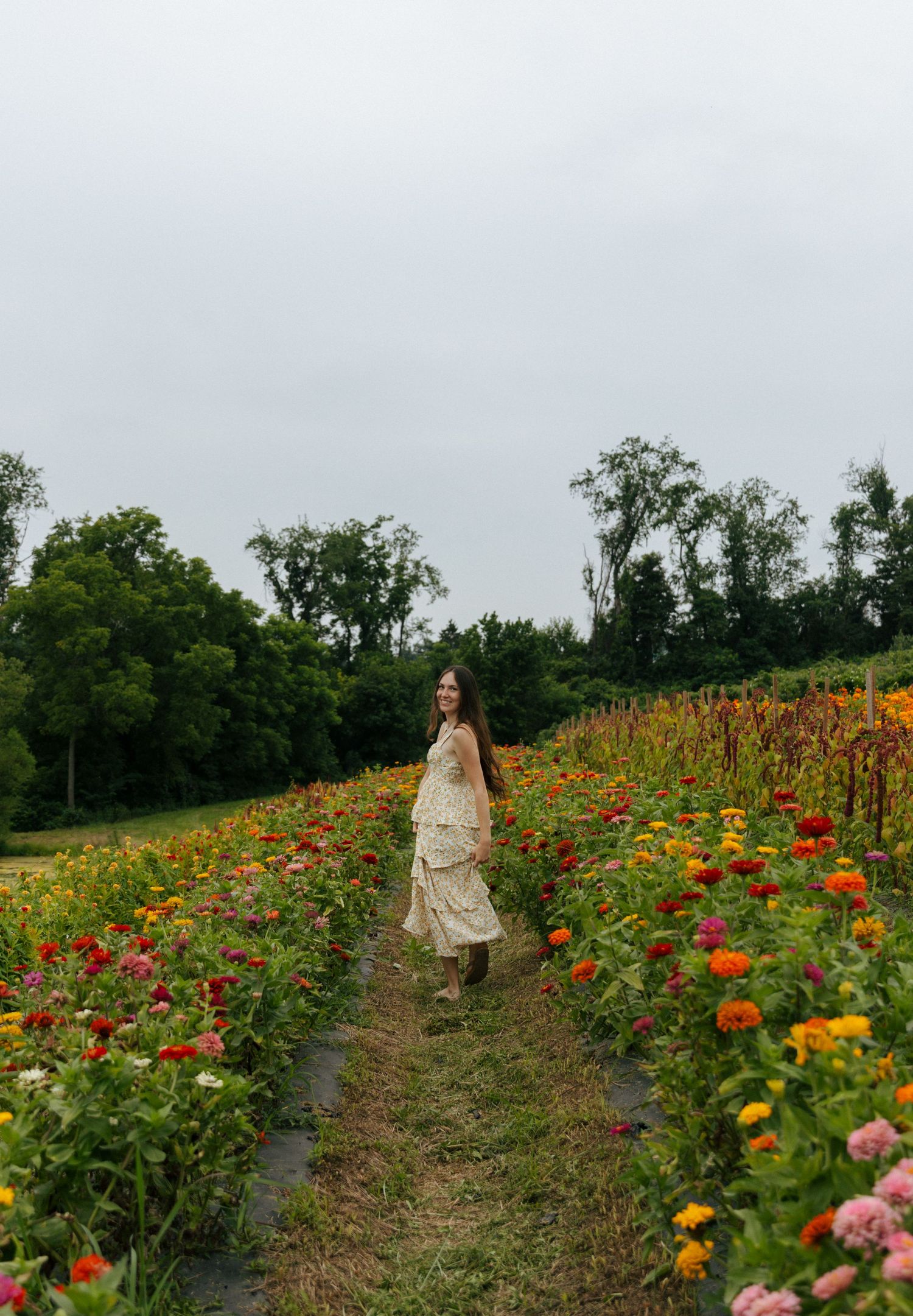 Woman in floral dress walking through colorful zinnia flower field on a farm with lush green trees in background.
