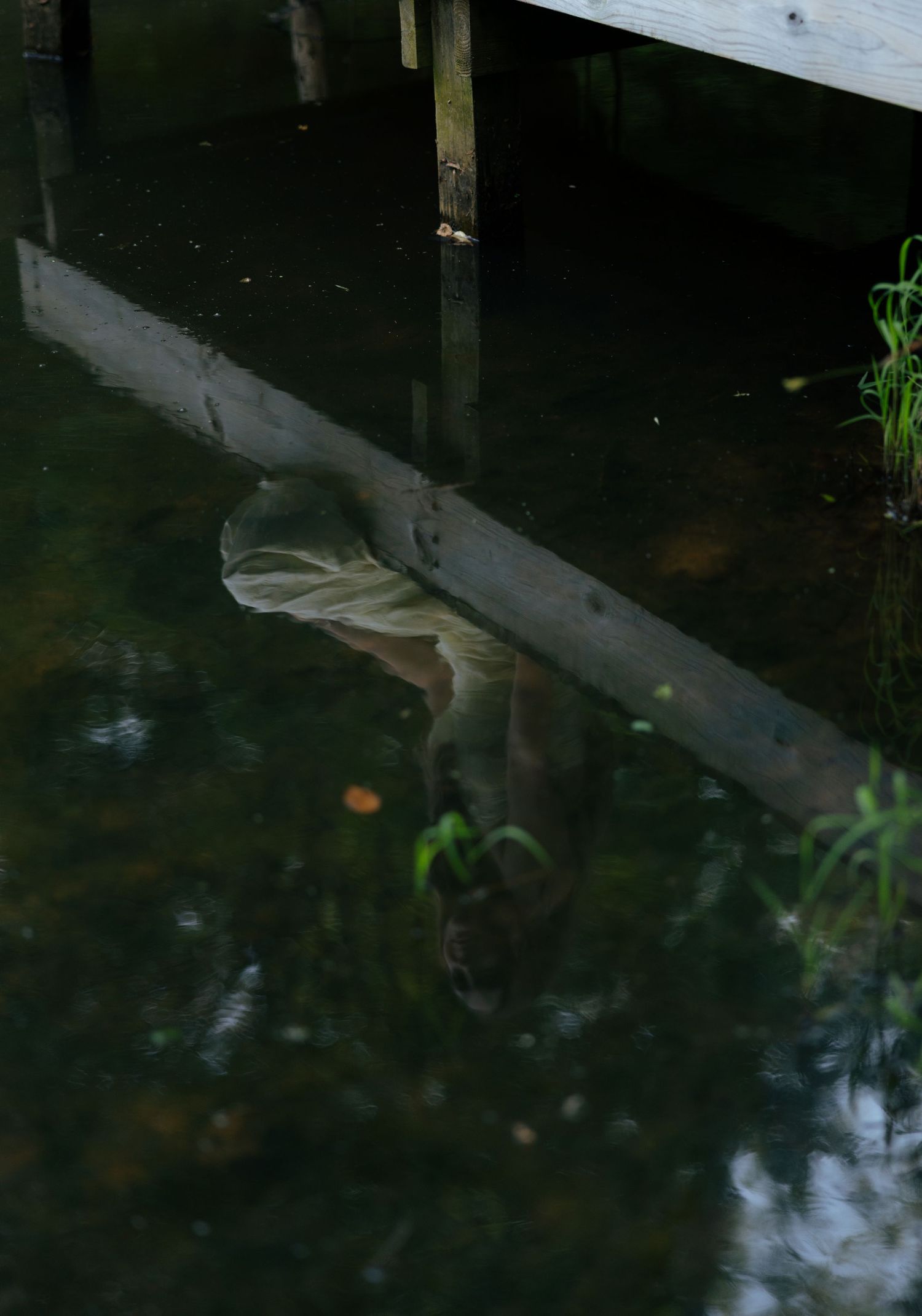Artistic reflection of a person in white dress visible in calm dark water beneath wooden dock.
