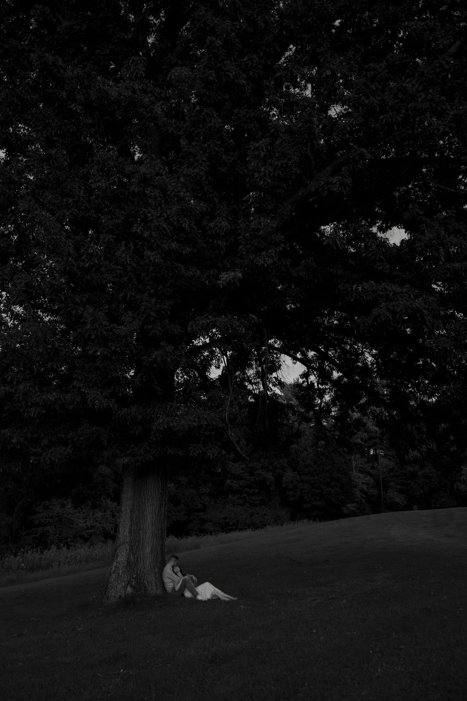A couple sits together under a massive tree in a dark, moody black and white park photo.