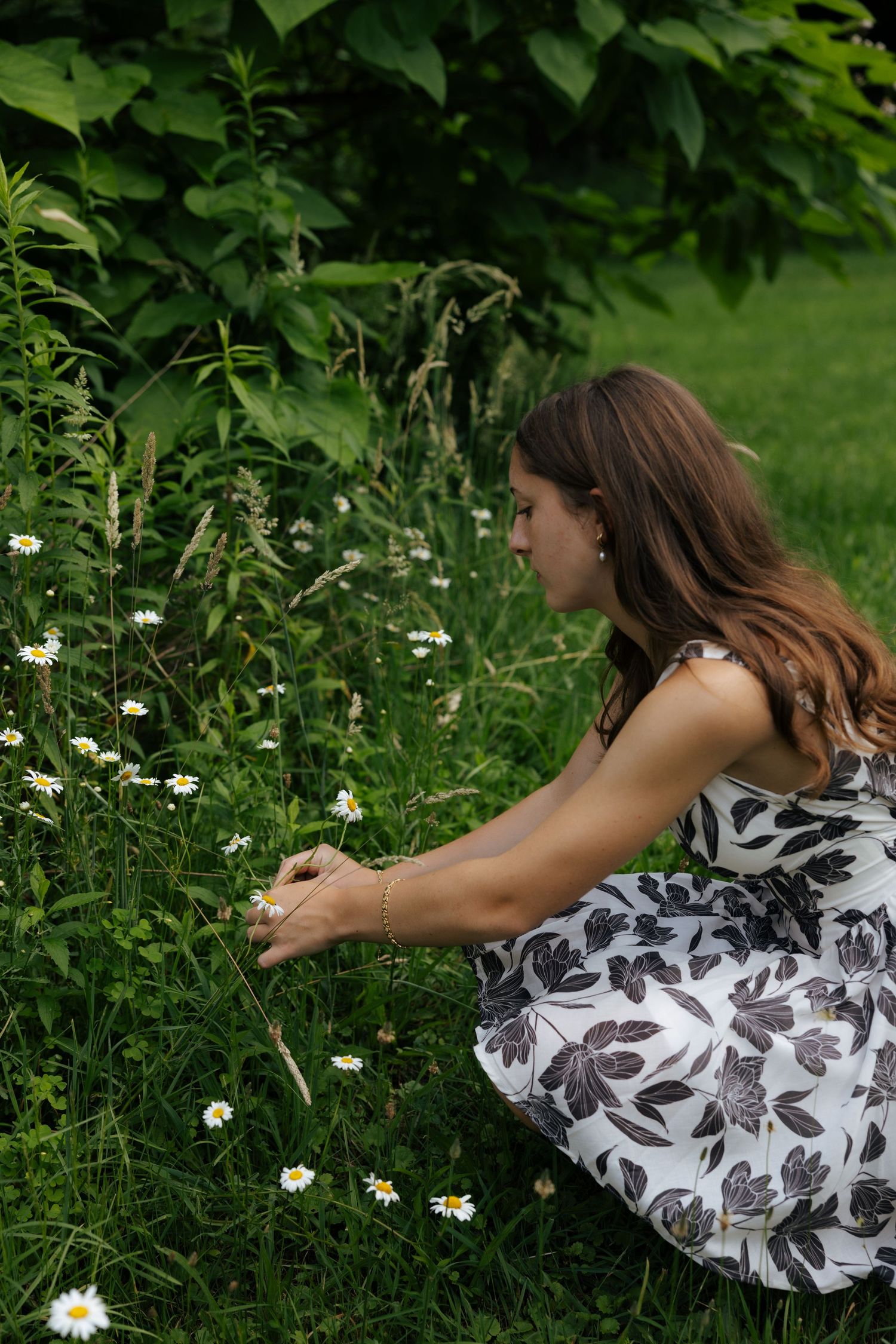 Young woman in floral dress crouching to pick white daisies in a lush green garden.
