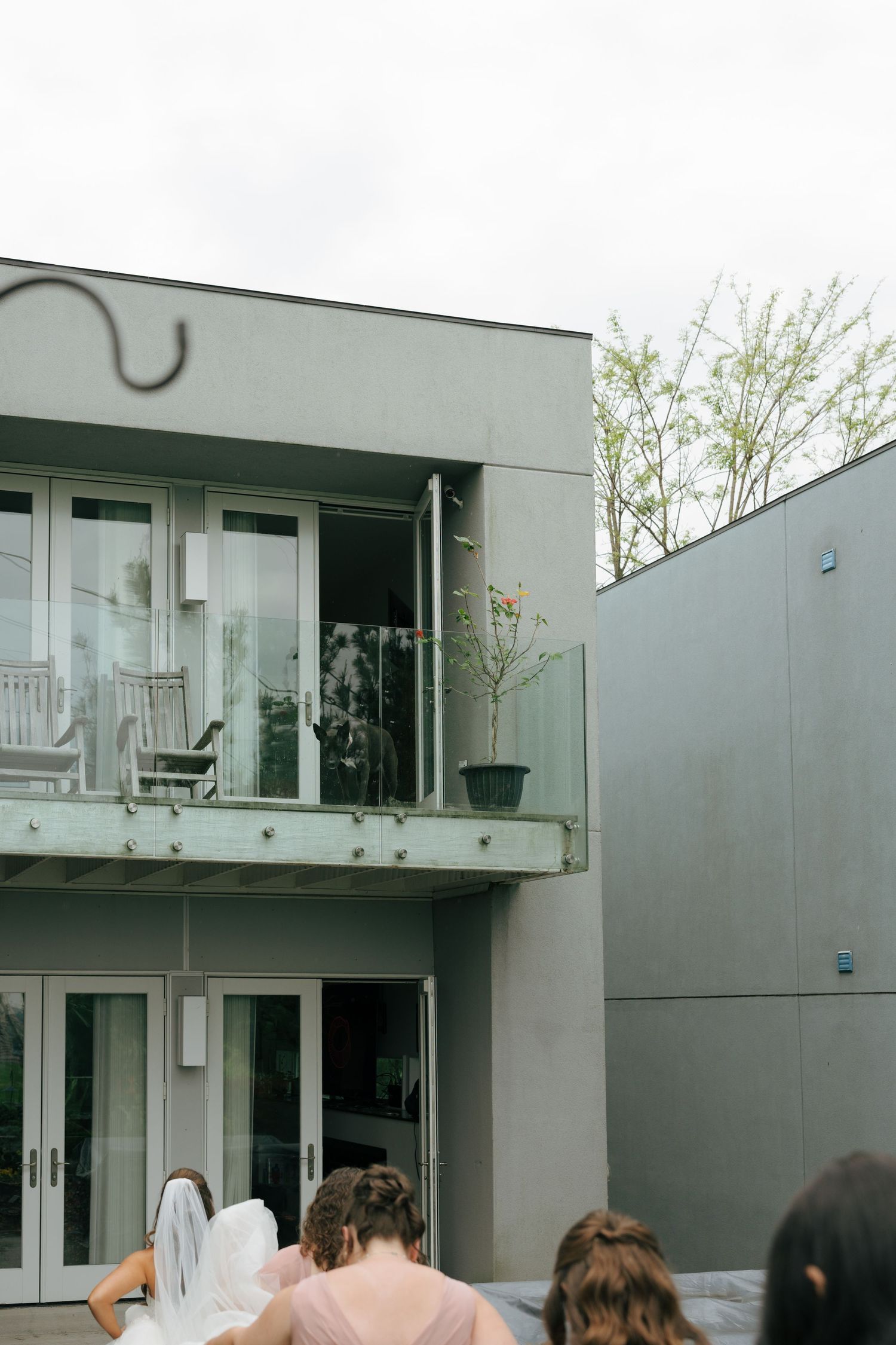 Bride and wedding party gather outside a modern gray building with glass balcony doors and lush greenery.