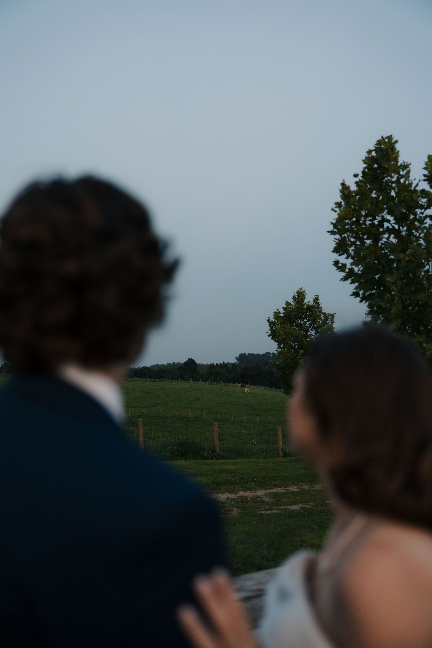 Blurred silhouette of wedding couple looking out over green countryside field at twilight.