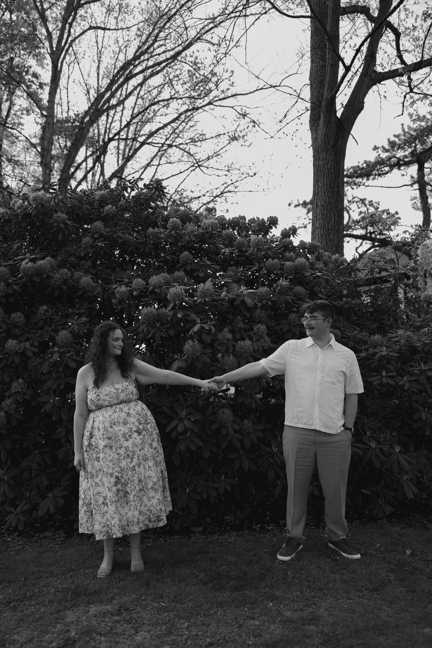 Black and white photo of engaged couple holding hands at arms length in front of flowering shrubs.
