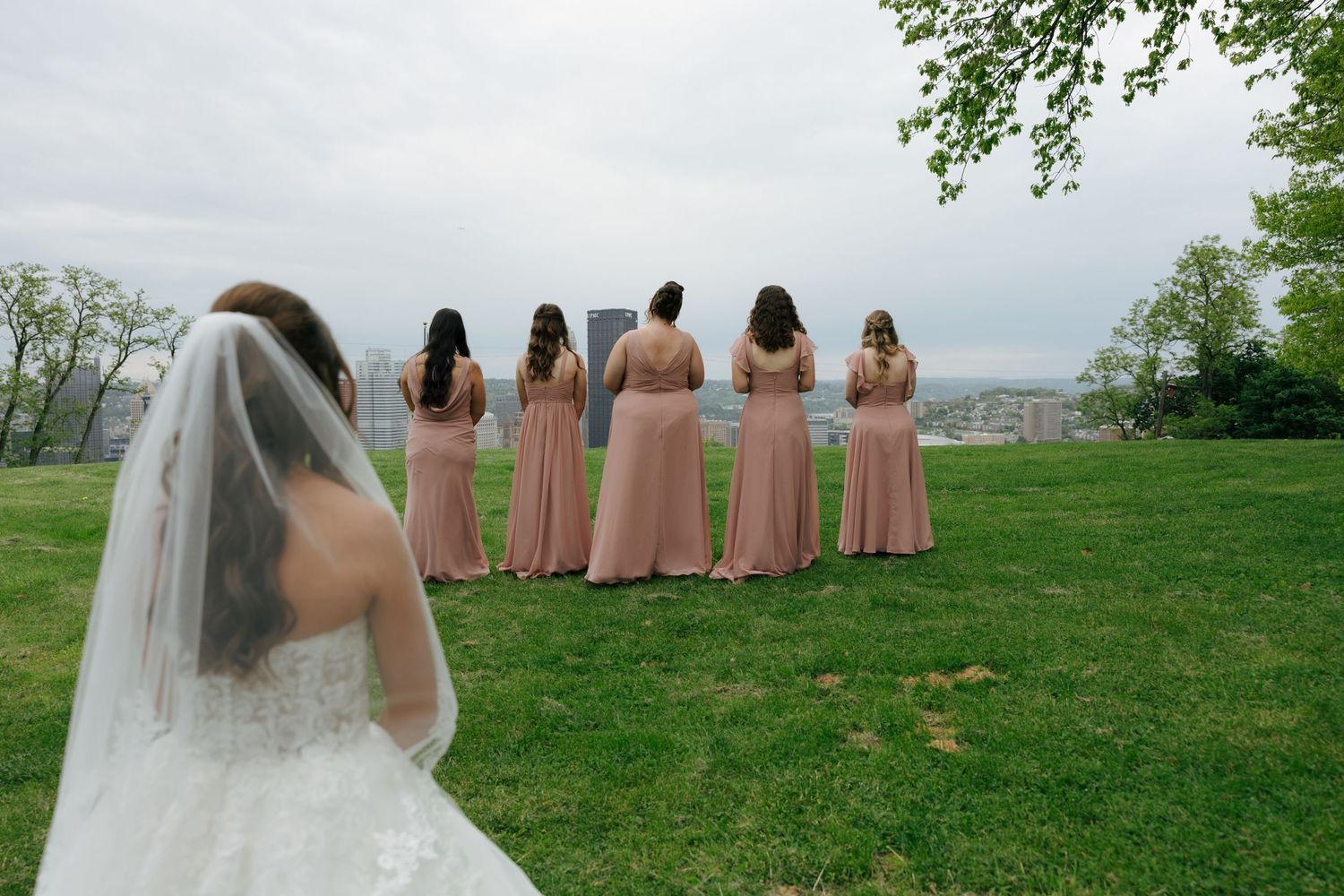 Bride in white gown and veil stands behind five bridesmaids in dusty rose dresses on green lawn.