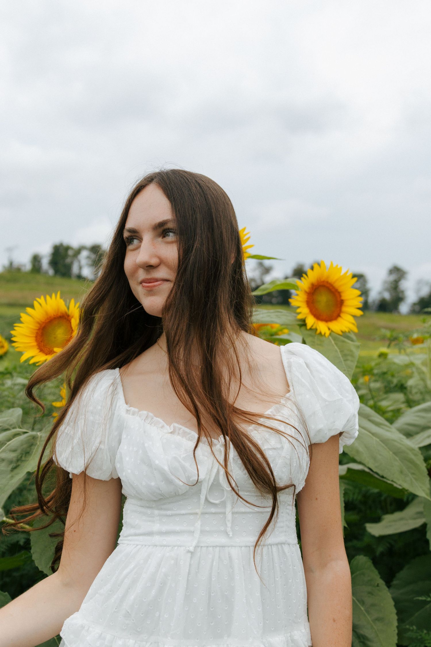 Young woman in white dress standing in sunflower field, smiling softly with long brown hair flowing in breeze.