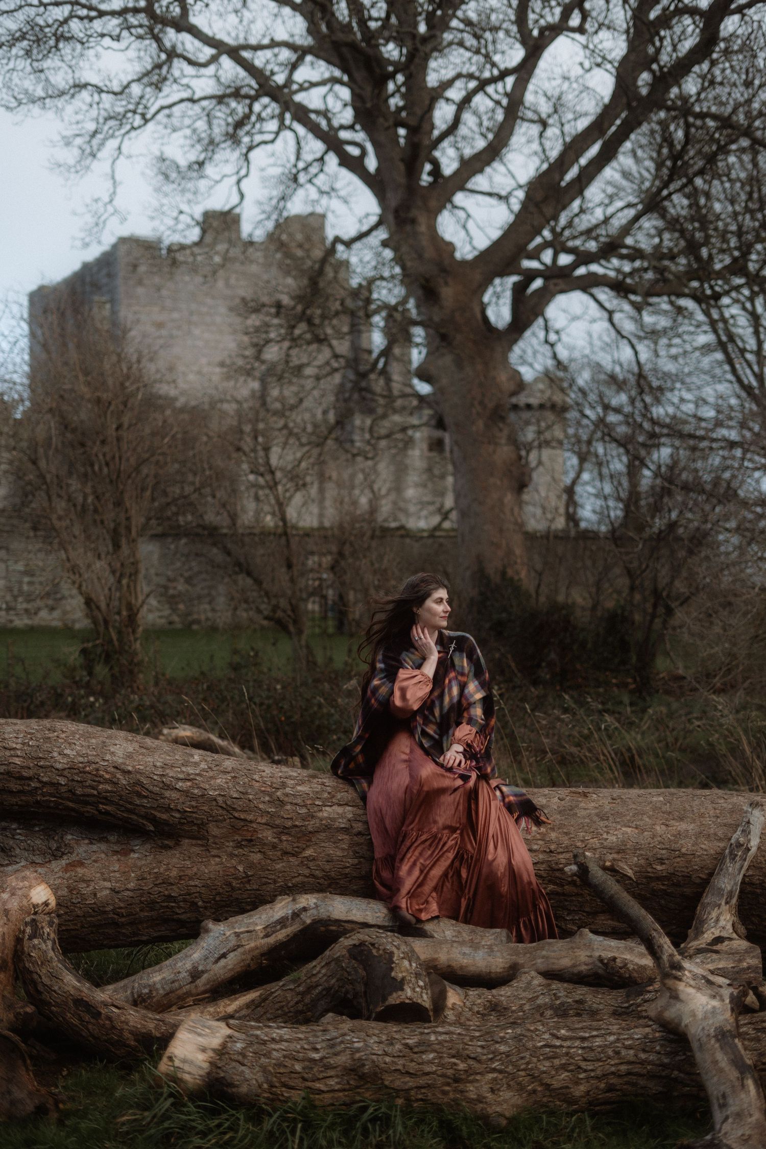 A moody winter scene with a fallen tree trunk in Central Park with bare branches and city buildings visible in background.