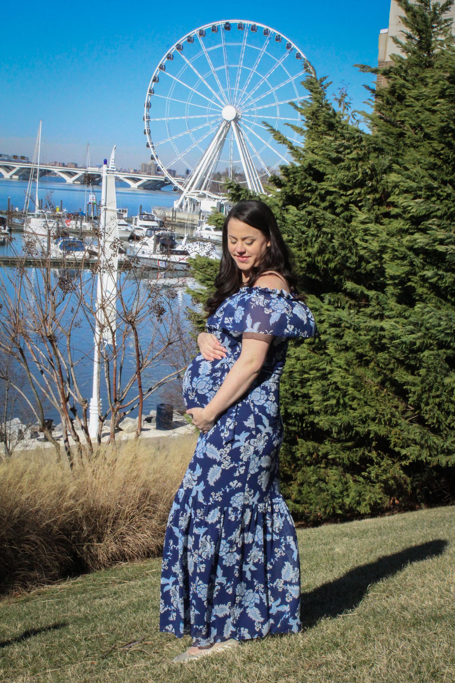 maternity portrait photography, natural lighting,