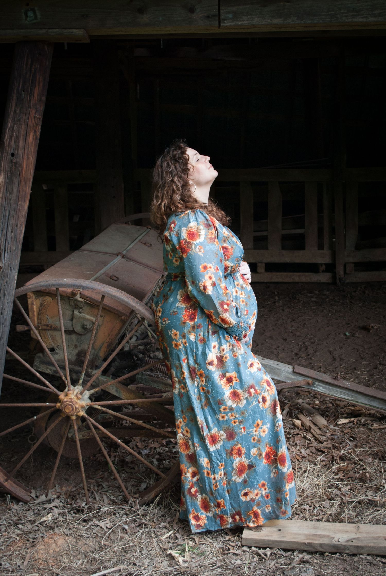 maternity portrait photography, natural lighting
