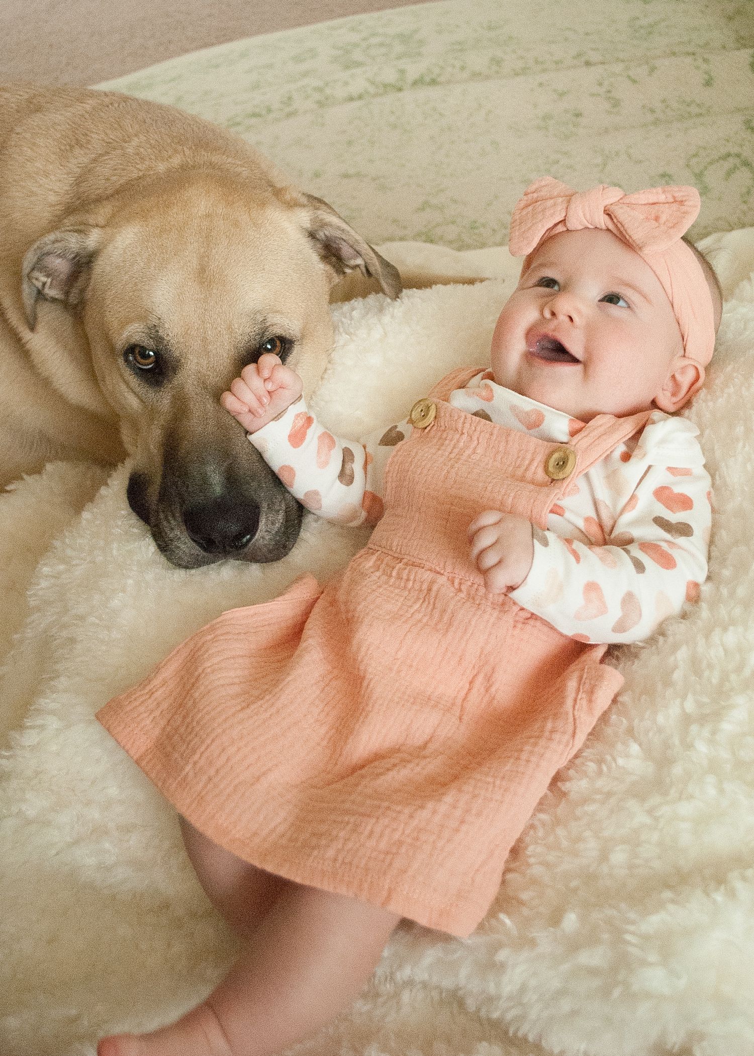baby photography, natural light photography, baby and dog photos