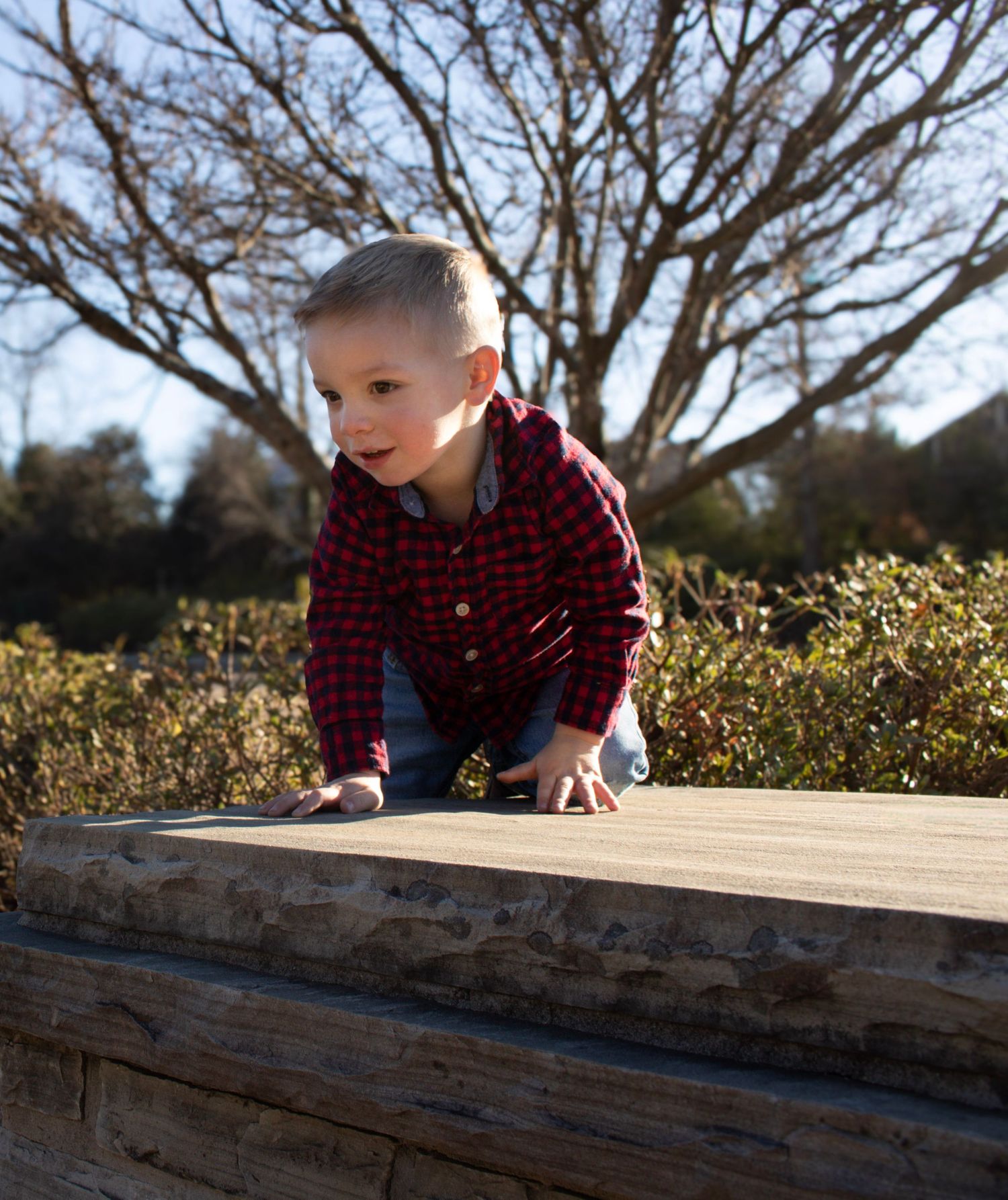 This is a cute photo of the kid exploring the park.