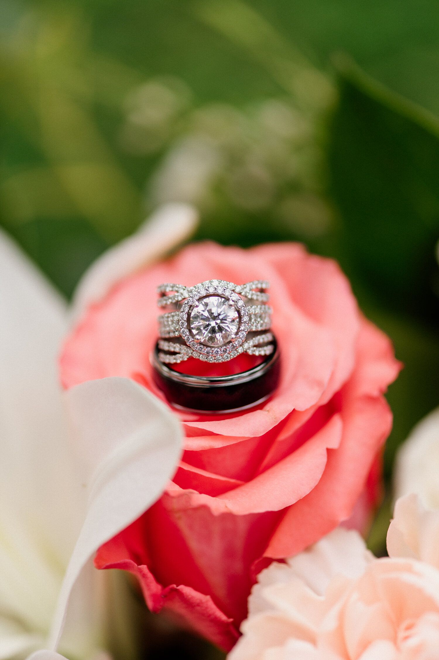 Diamond engagement ring and wedding bands nestled on coral rose petals.