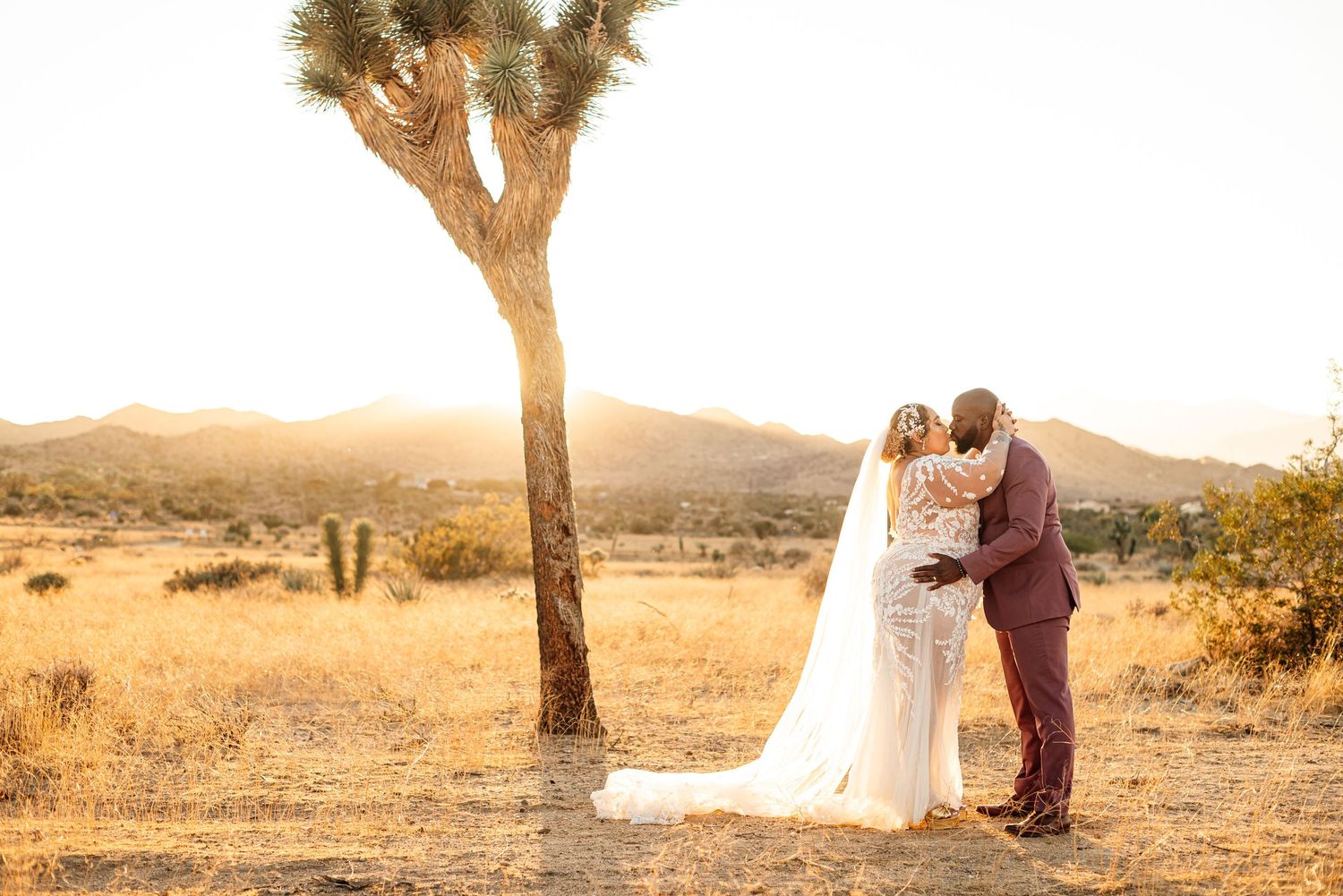 Newlyweds share an intimate moment at sunset in a desert landscape with a Joshua tree.
