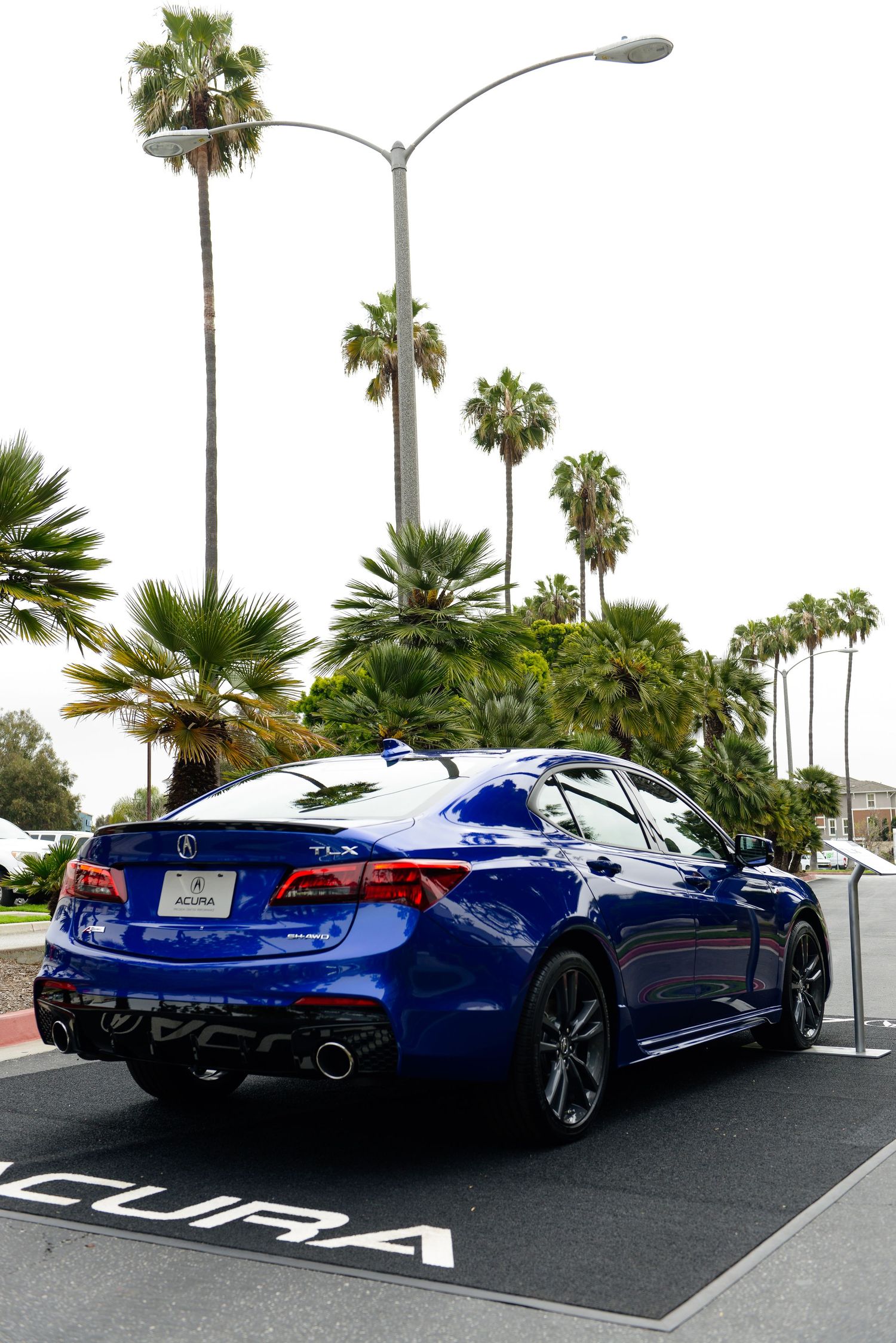 Blue Honda Acura vehicles parked in a row with palm trees in the background.
