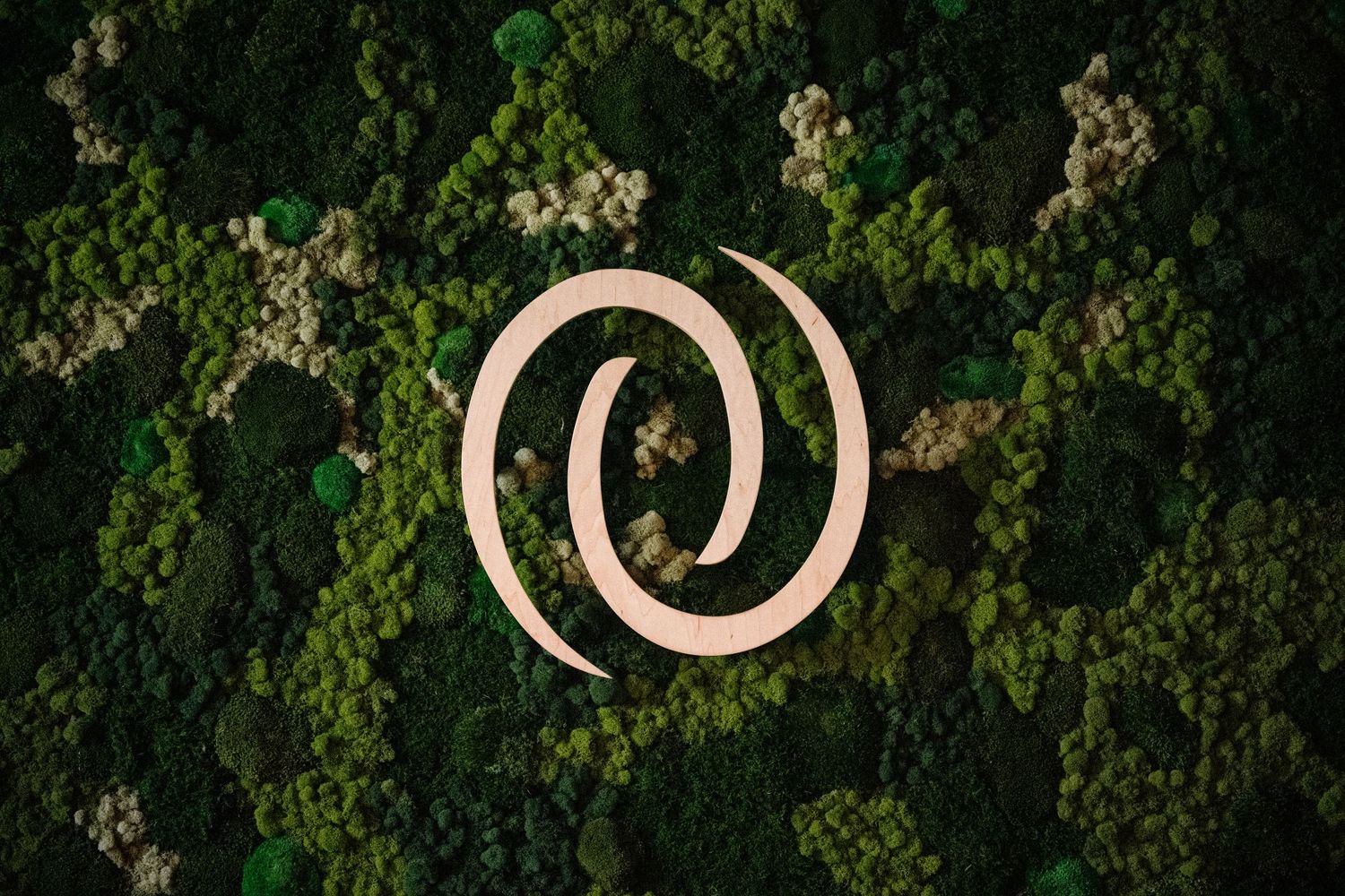 Decorative number designs arranged in a series against a dark background with green foliage.