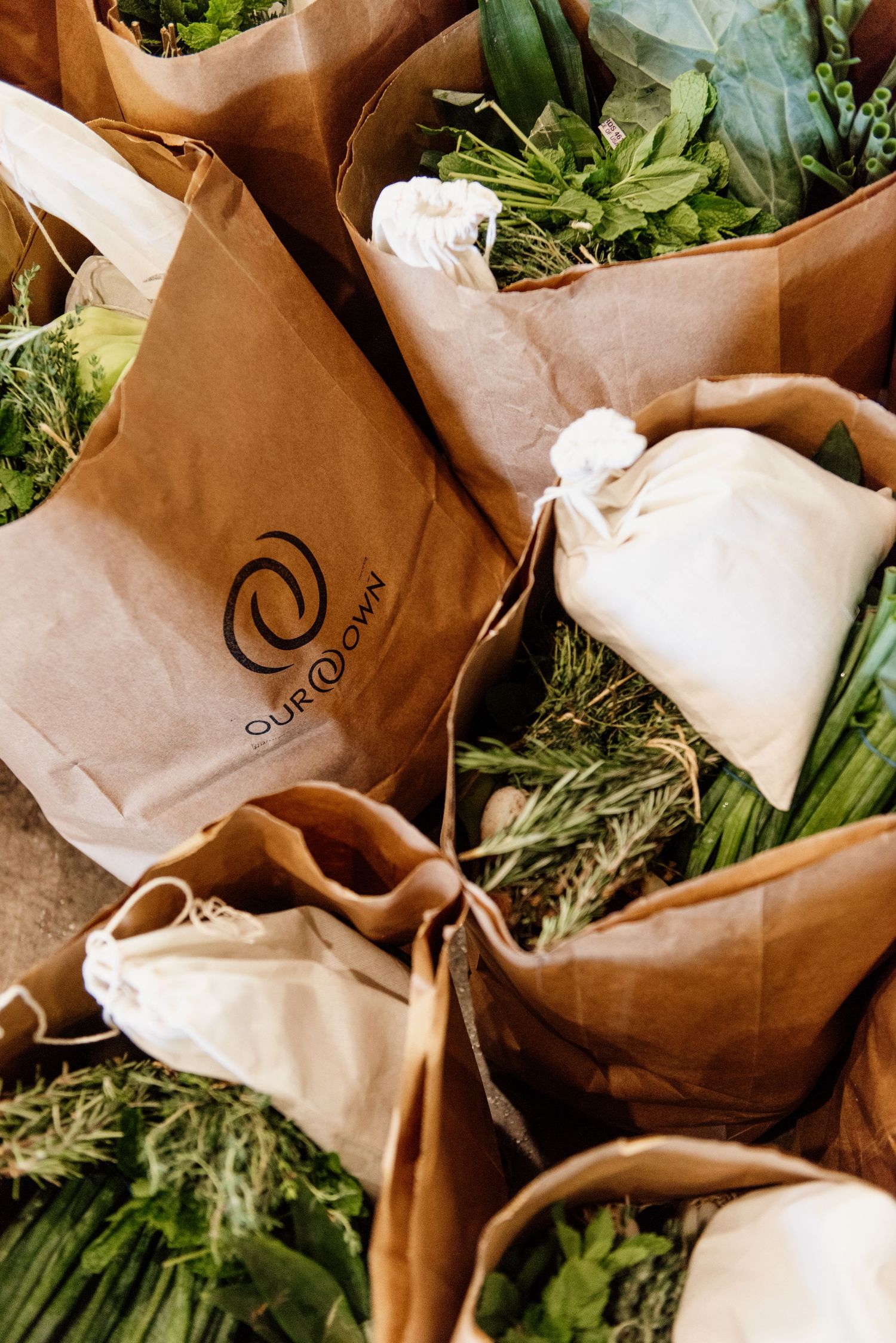 Brown paper grocery bags filled with fresh green produce and vegetables.