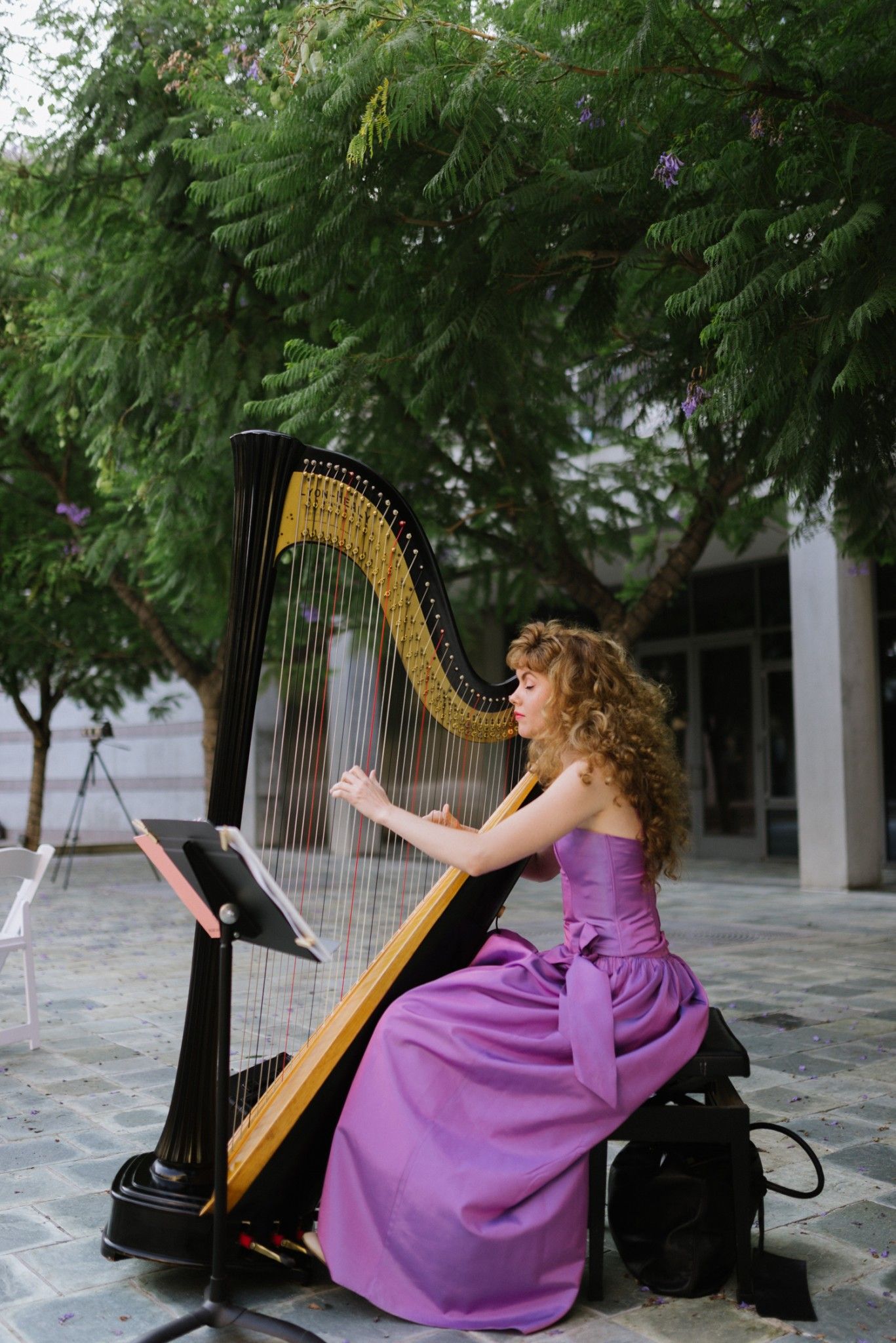 A musician in a purple dress plays a golden harp outdoors in a series of artistic poses.