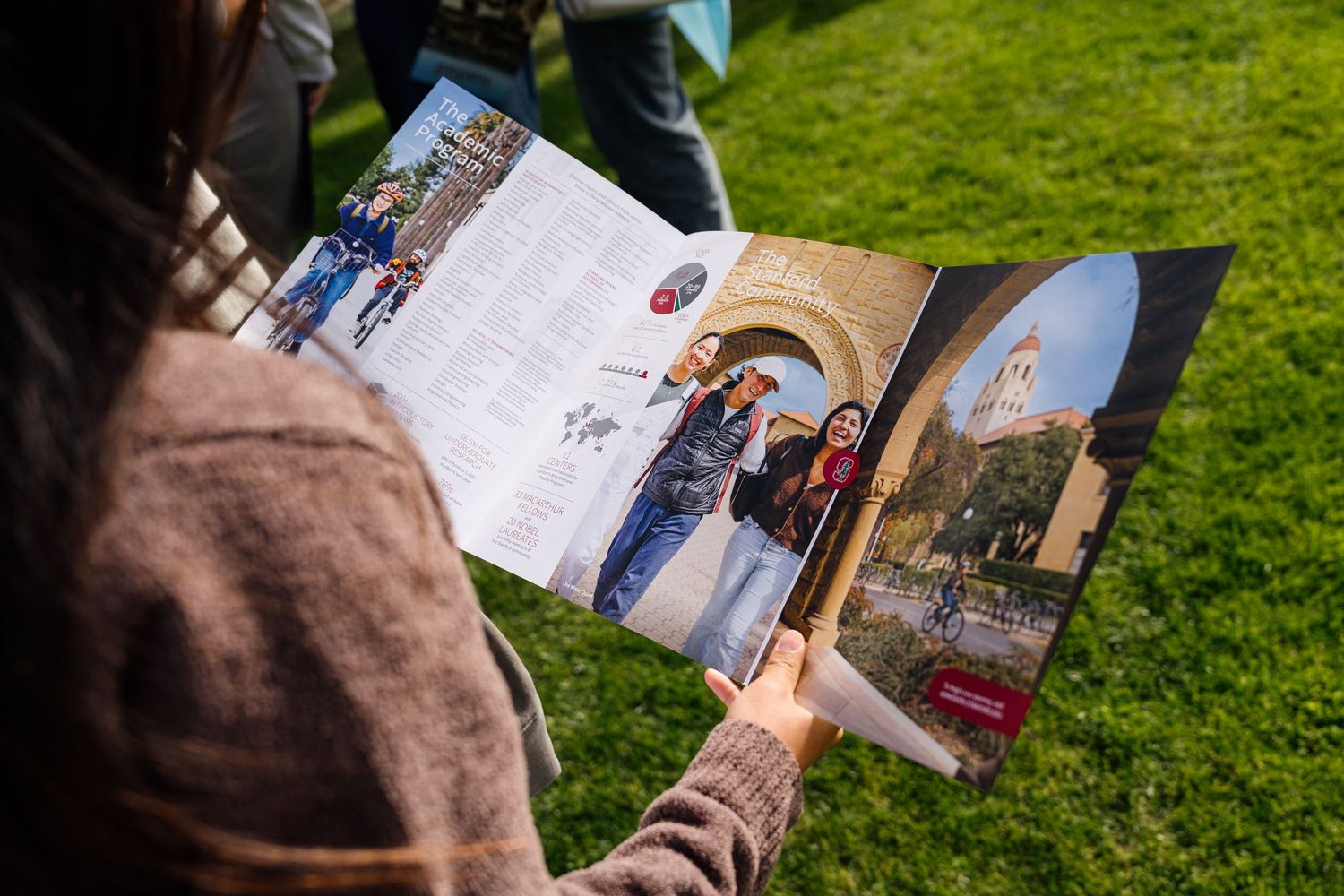 Looking through a collection of printed photographs laid out on green grass.