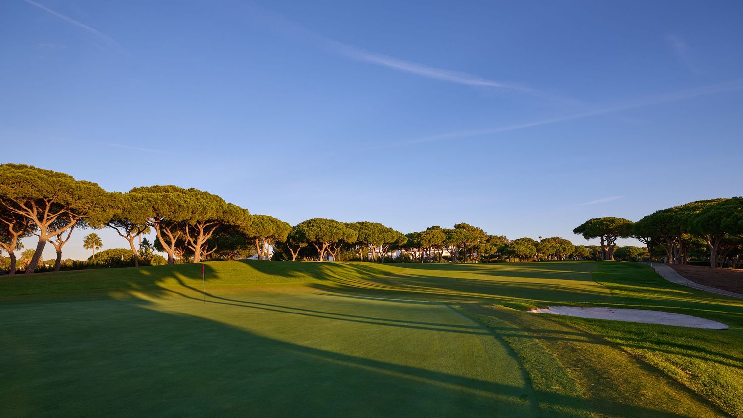 Scenic golf course fairway lined with tall pine trees and well-maintained greens in warm golden sunlight.