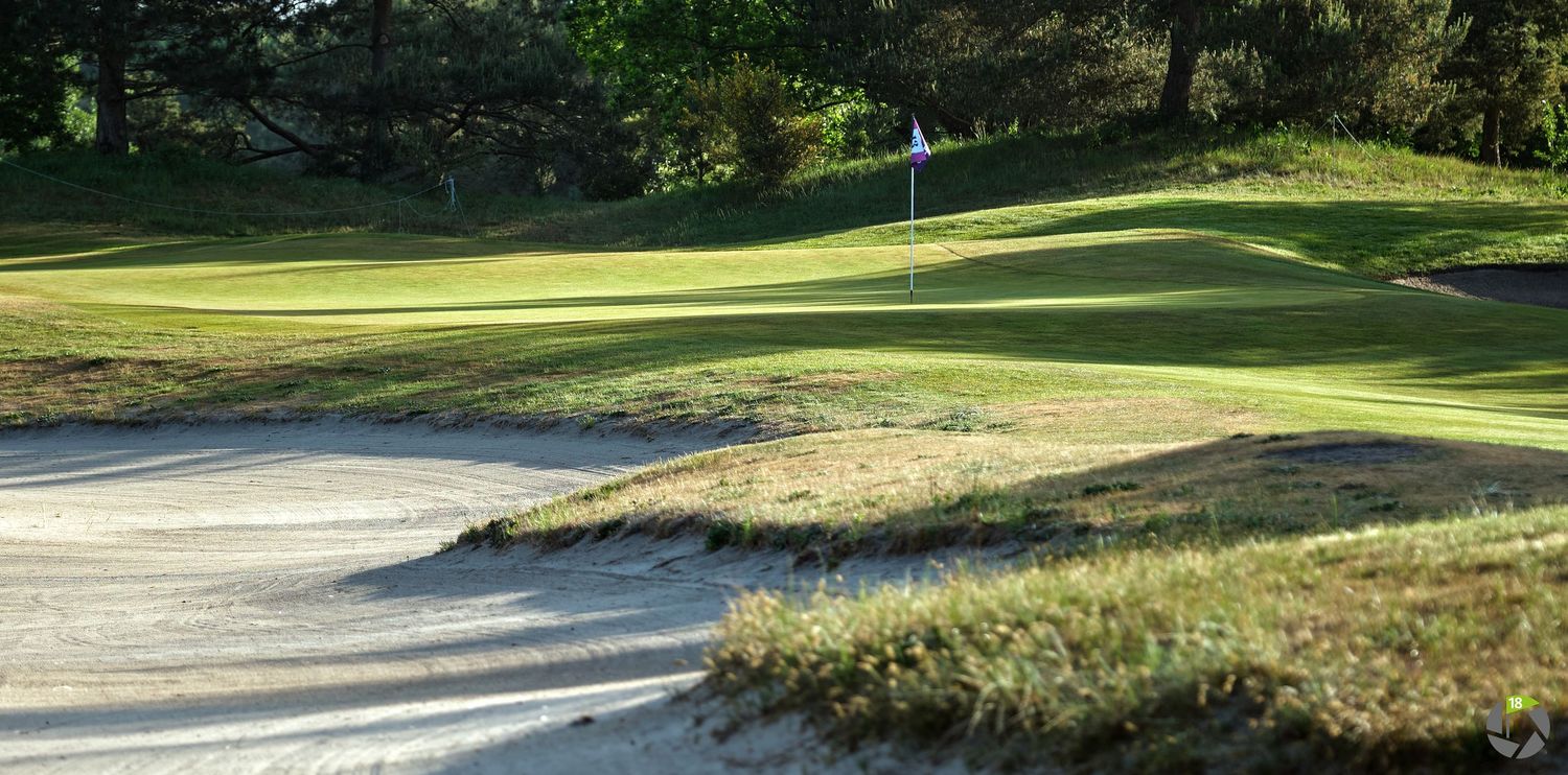 Close-up of a golf course green with a white flag, sand bunker, and manicured fairway surrounded by trees.