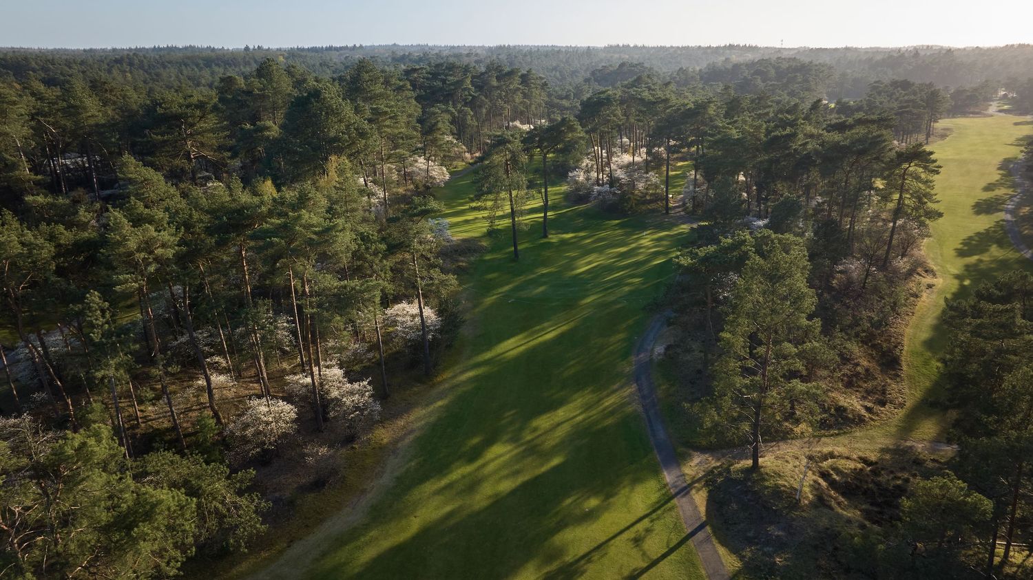 Panoramic aerial view of a lush golf course with rolling hills, trees, and well-manicured fairways in golden sunlight.