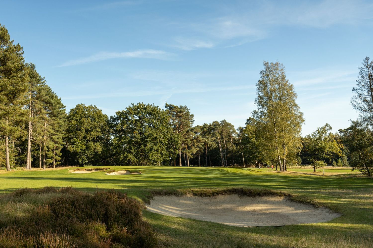 Scenic golf course fairway with sand bunkers, lush green grass, and tall trees under a clear blue sky.
