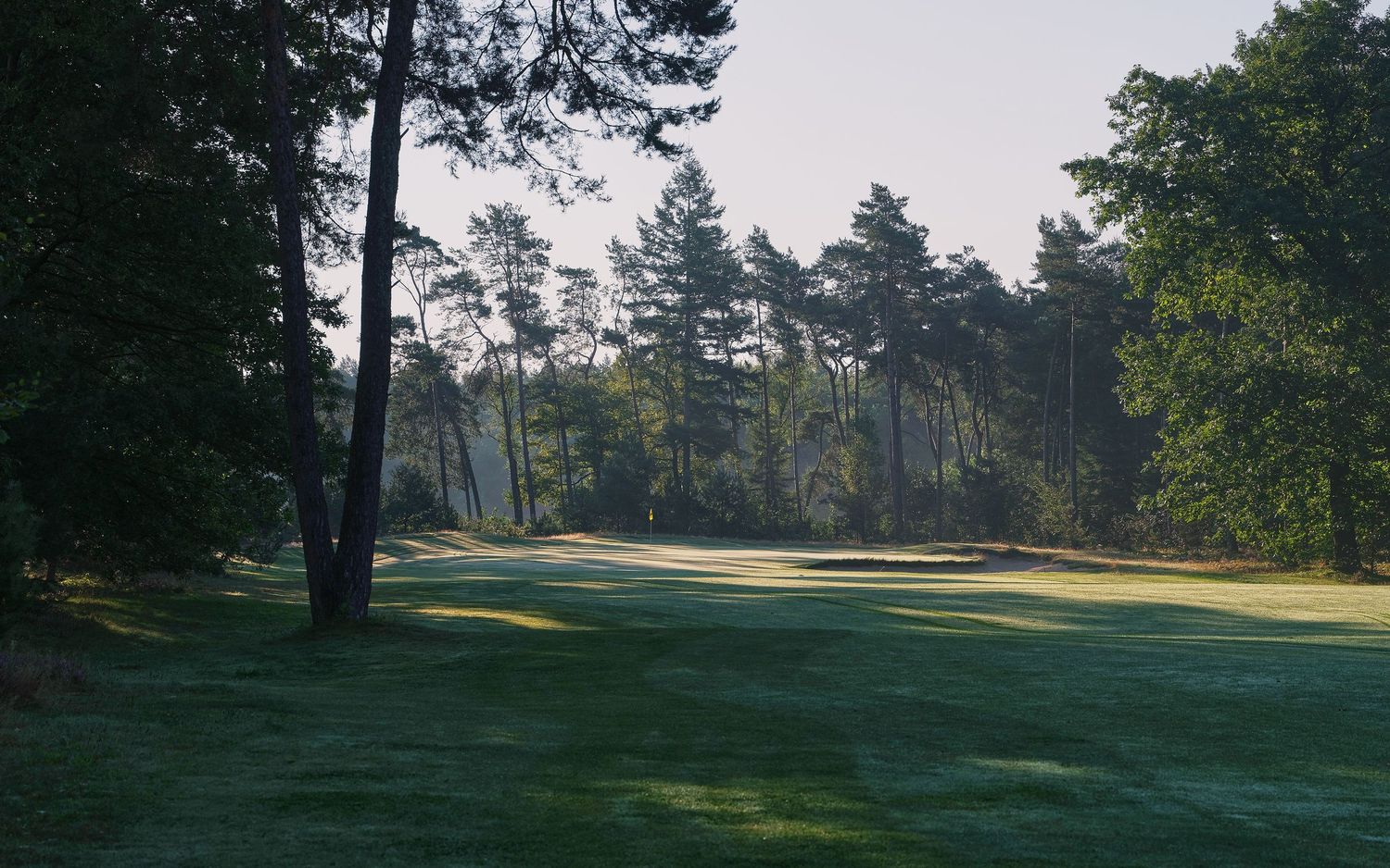 A scenic golf course fairway lined with tall pine trees and lush grass stretches into the distance.