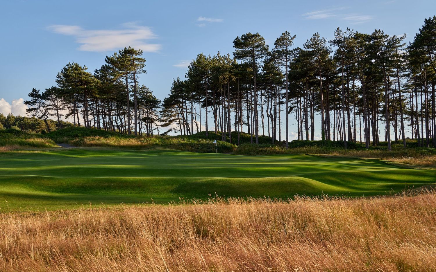 Lush green golf course fairway bordered by tall pine trees and golden rough grass under a clear blue sky.