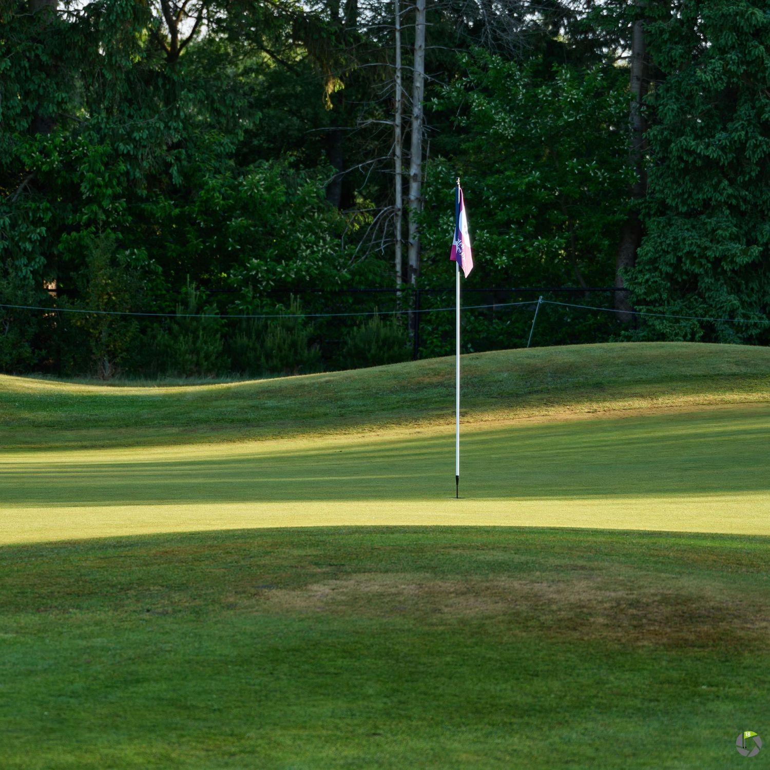 Golf course green at dusk featuring a flagstick with trees in the background.