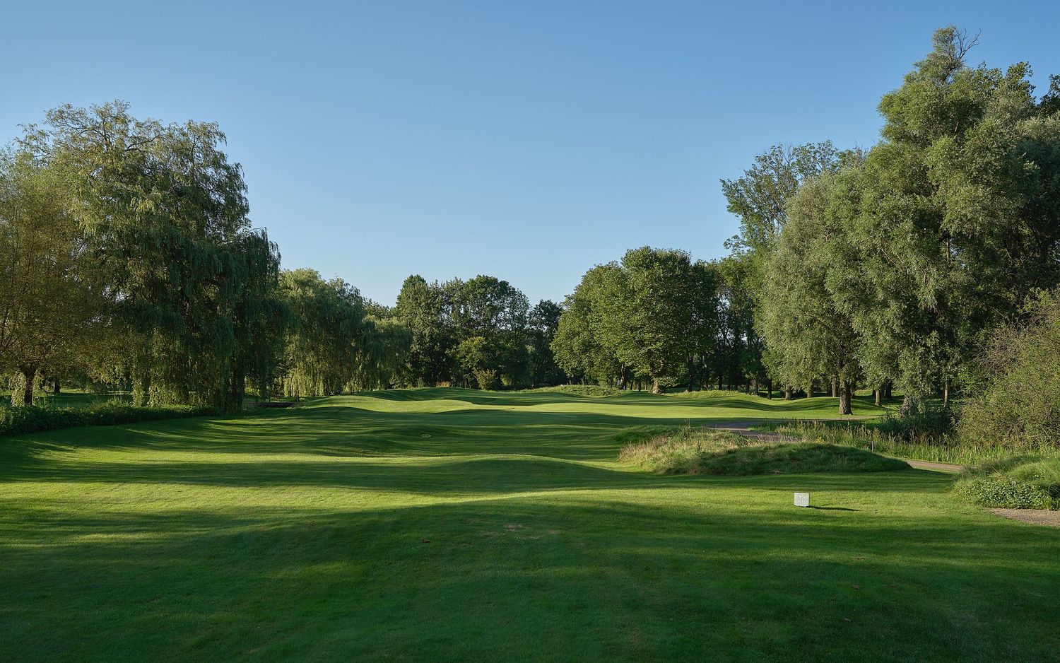 Lush green golf course fairway lined with mature trees under a clear blue sky on a sunny day.