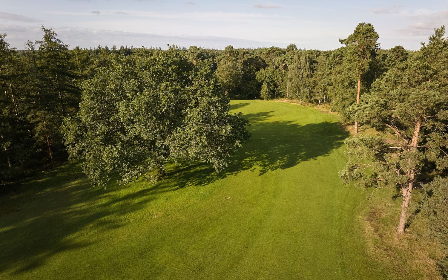 Aerial view of a lush green golf fairway lined with tall trees on a sunny day.