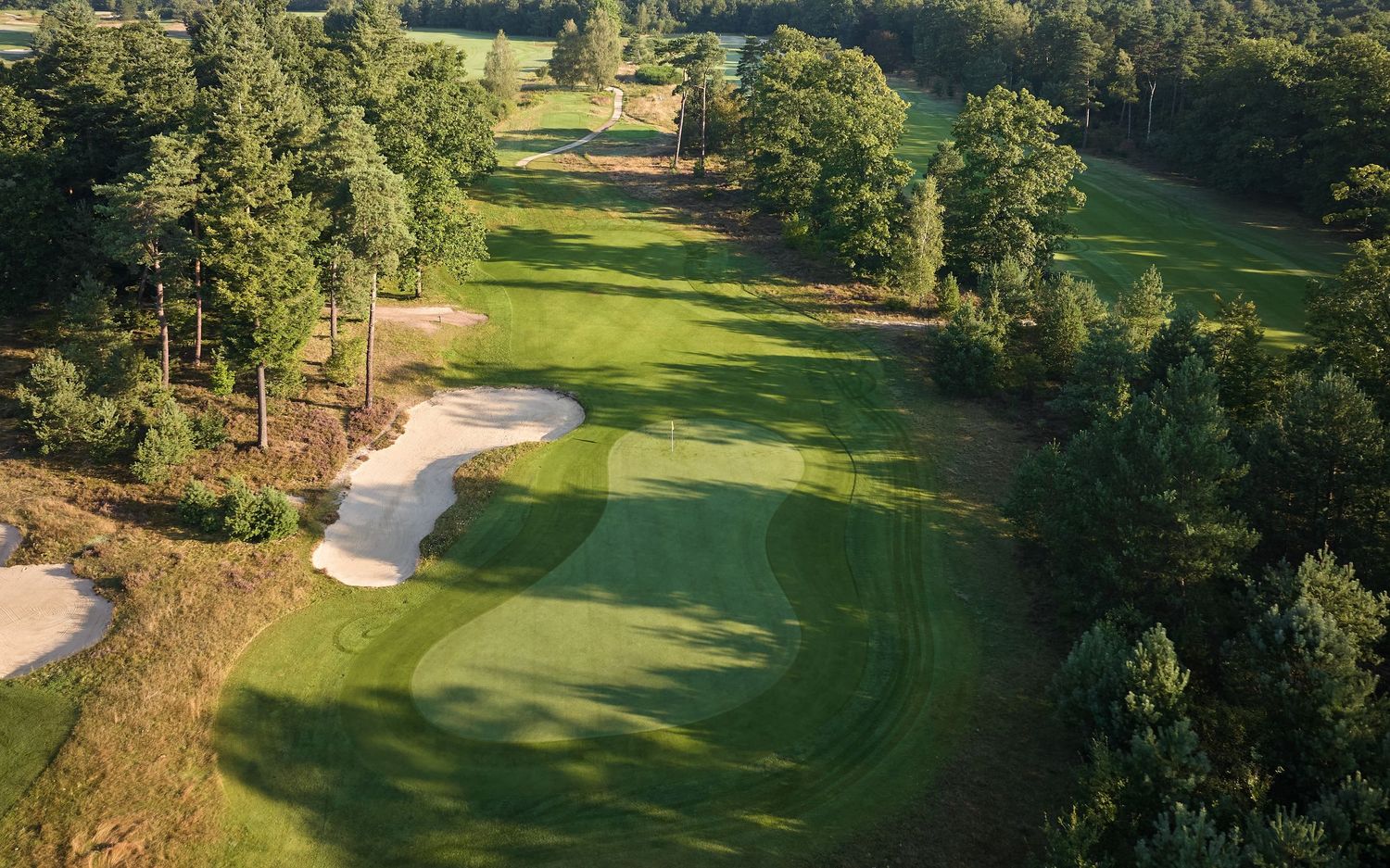 Sweeping aerial view of a golf course fairway surrounded by tall evergreen trees and pristine sand bunkers.