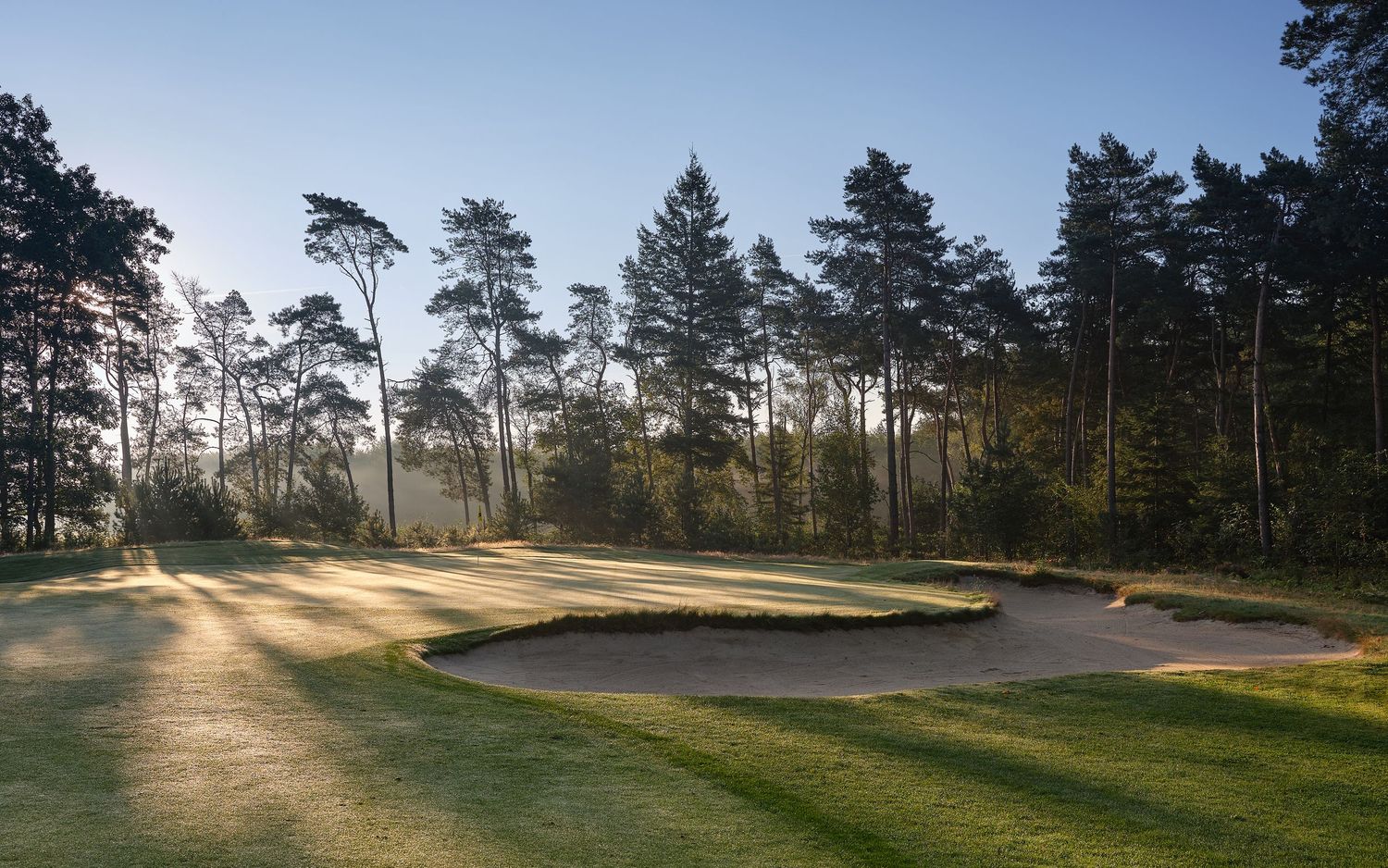 Aerial panoramic view of a scenic golf course hole with pine trees and morning sunlight casting long shadows.