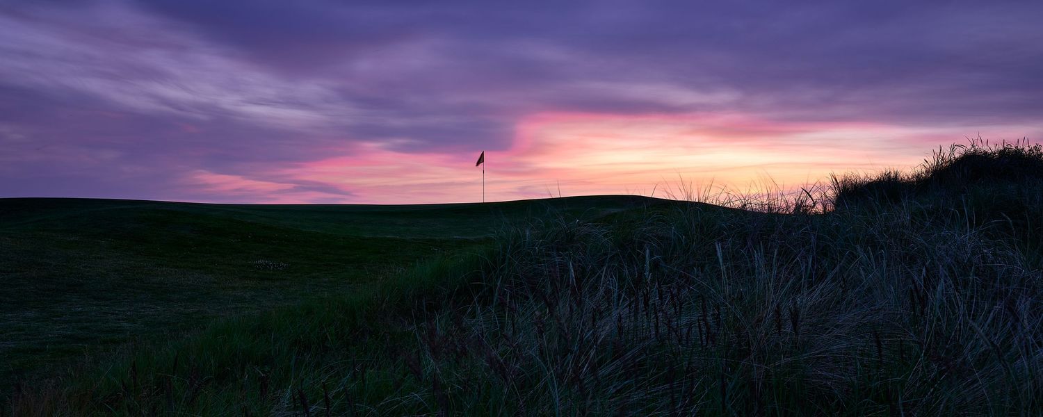 A lone bird soars over a vast green field at dusk, with a stunning purple and orange sunset sky.