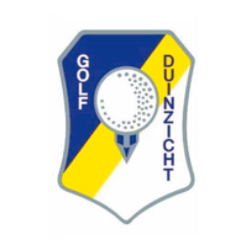 A series of military or police badges with blue and yellow colors arranged in a horizontal line showing rank insignia.