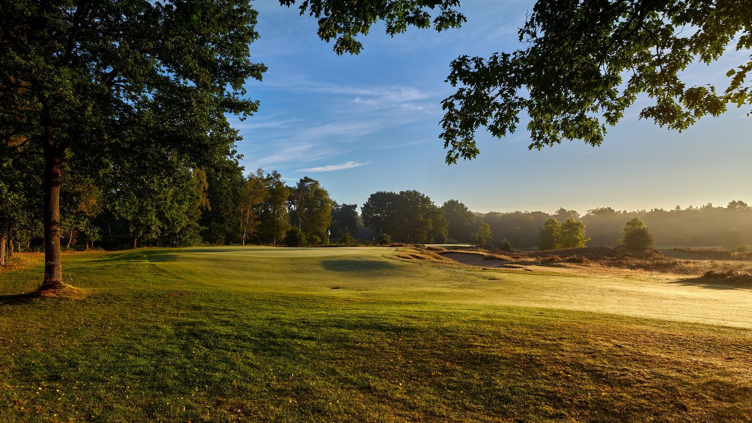 Sunlit golf course fairway framed by mature trees with morning mist in the background.