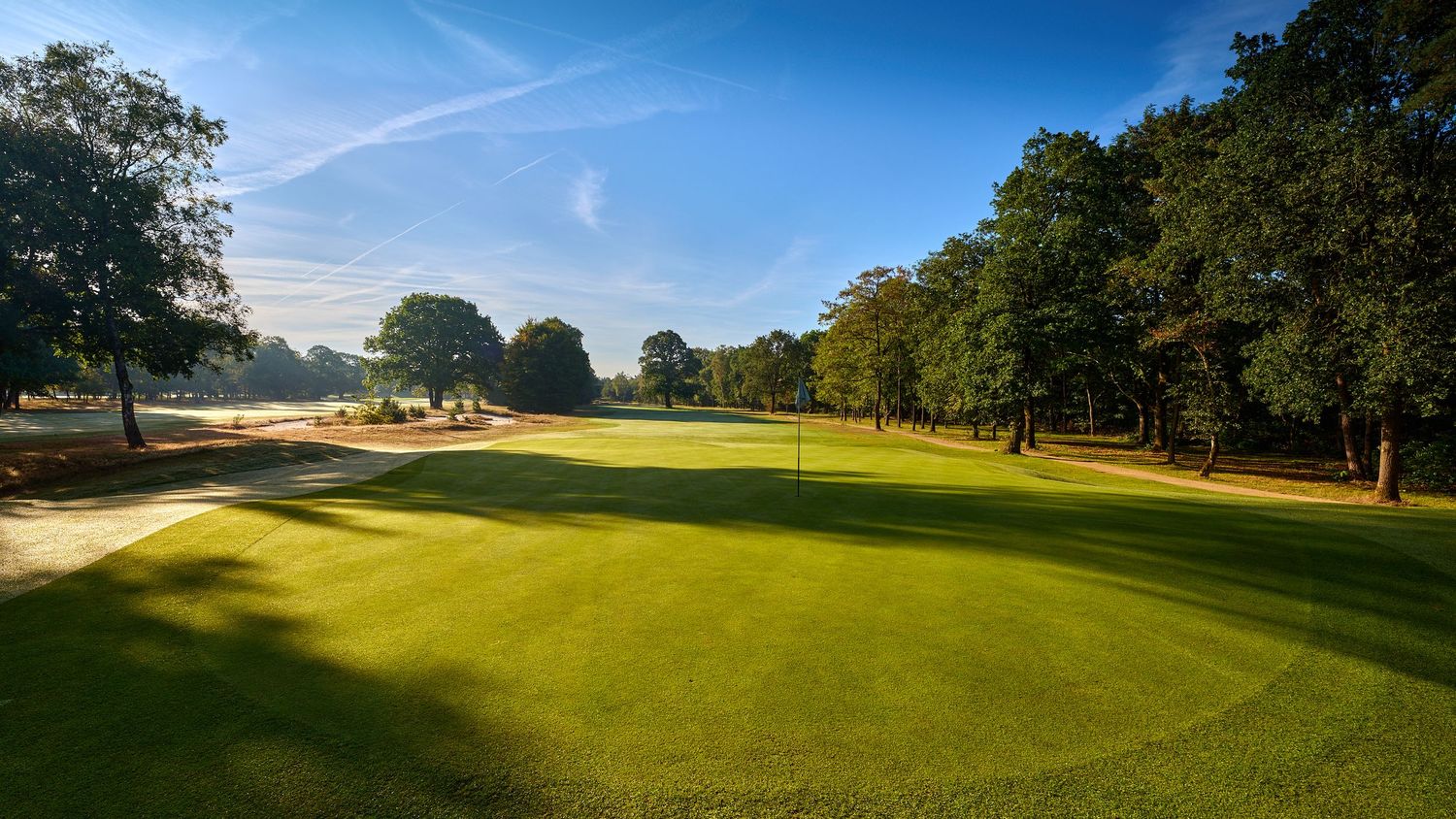 Sunlit golf course green with flag, framed by mature trees on a bright summer day.