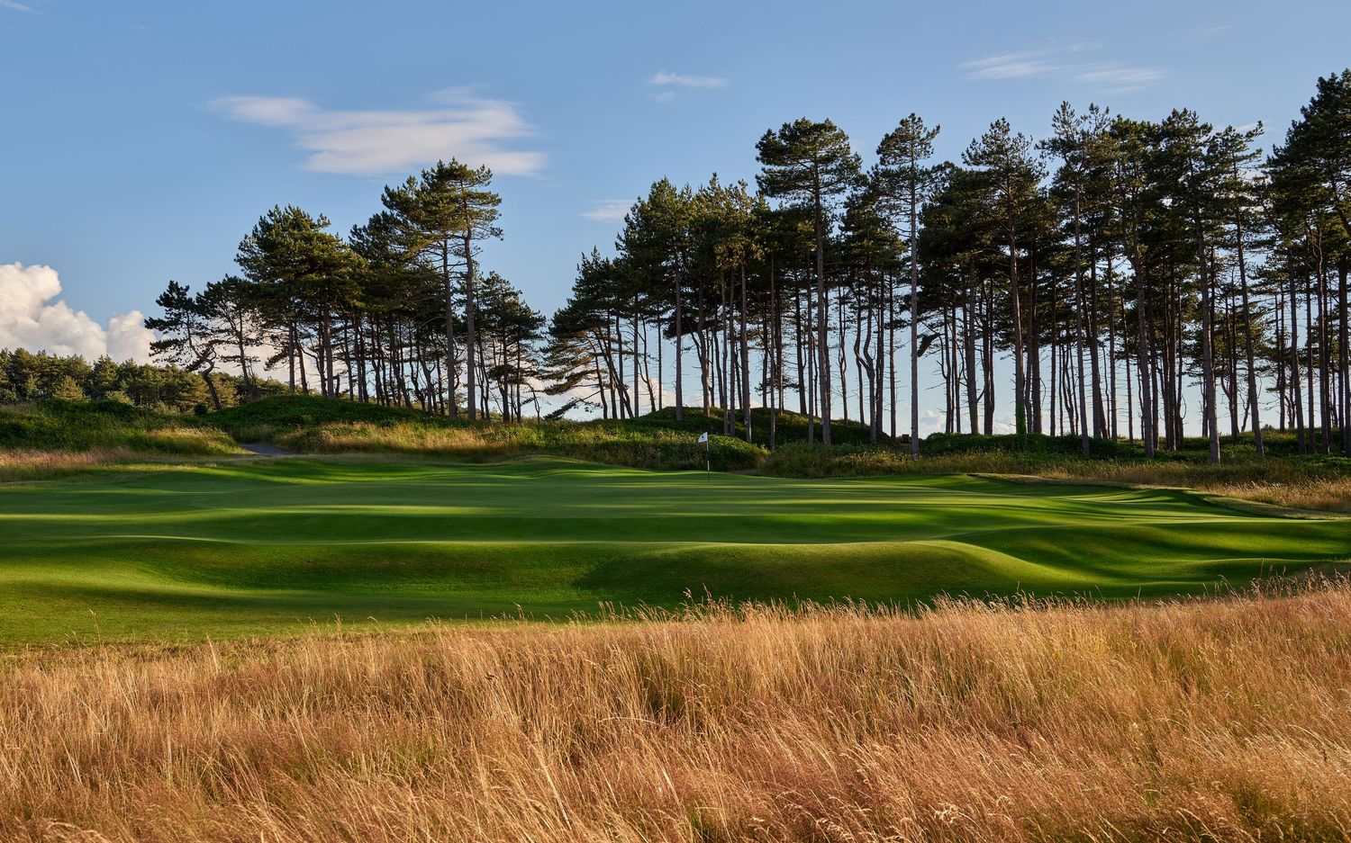 A scenic golf course fairway lined with tall pine trees and golden fallow grass under a blue summer sky.