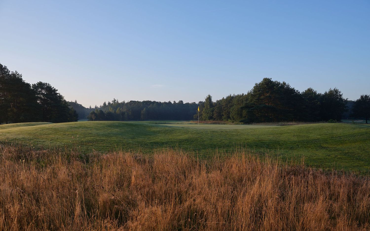 A scenic golf course fairway with golden brown rough grass in the foreground and tree-lined borders under blue sky.