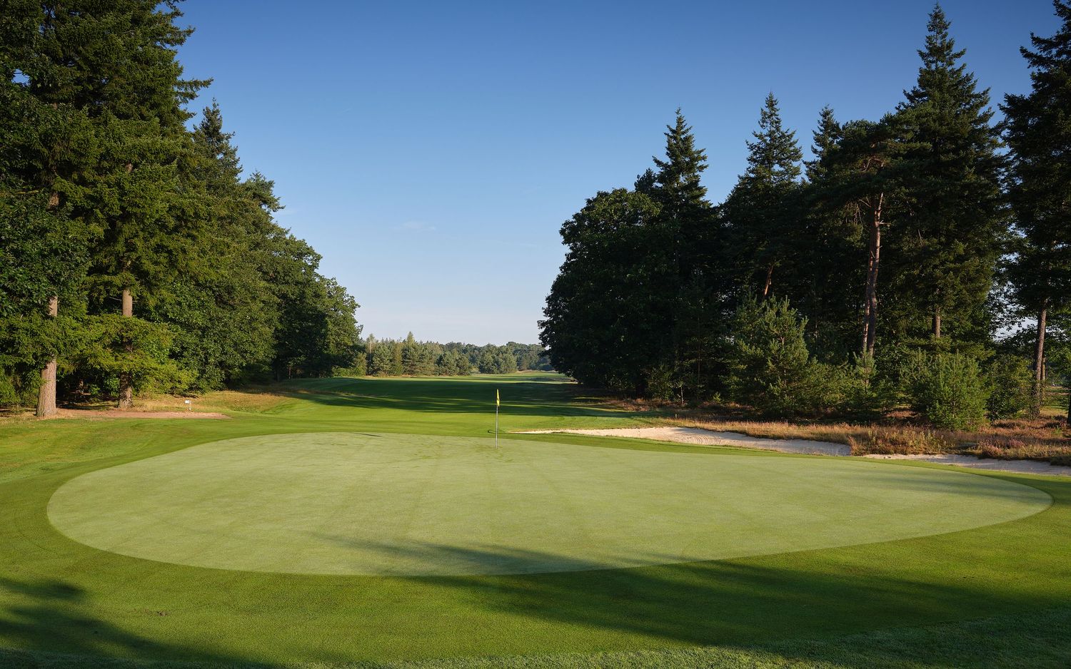 A scenic golf course green surrounded by tall pine trees under a clear blue sky at sunset.