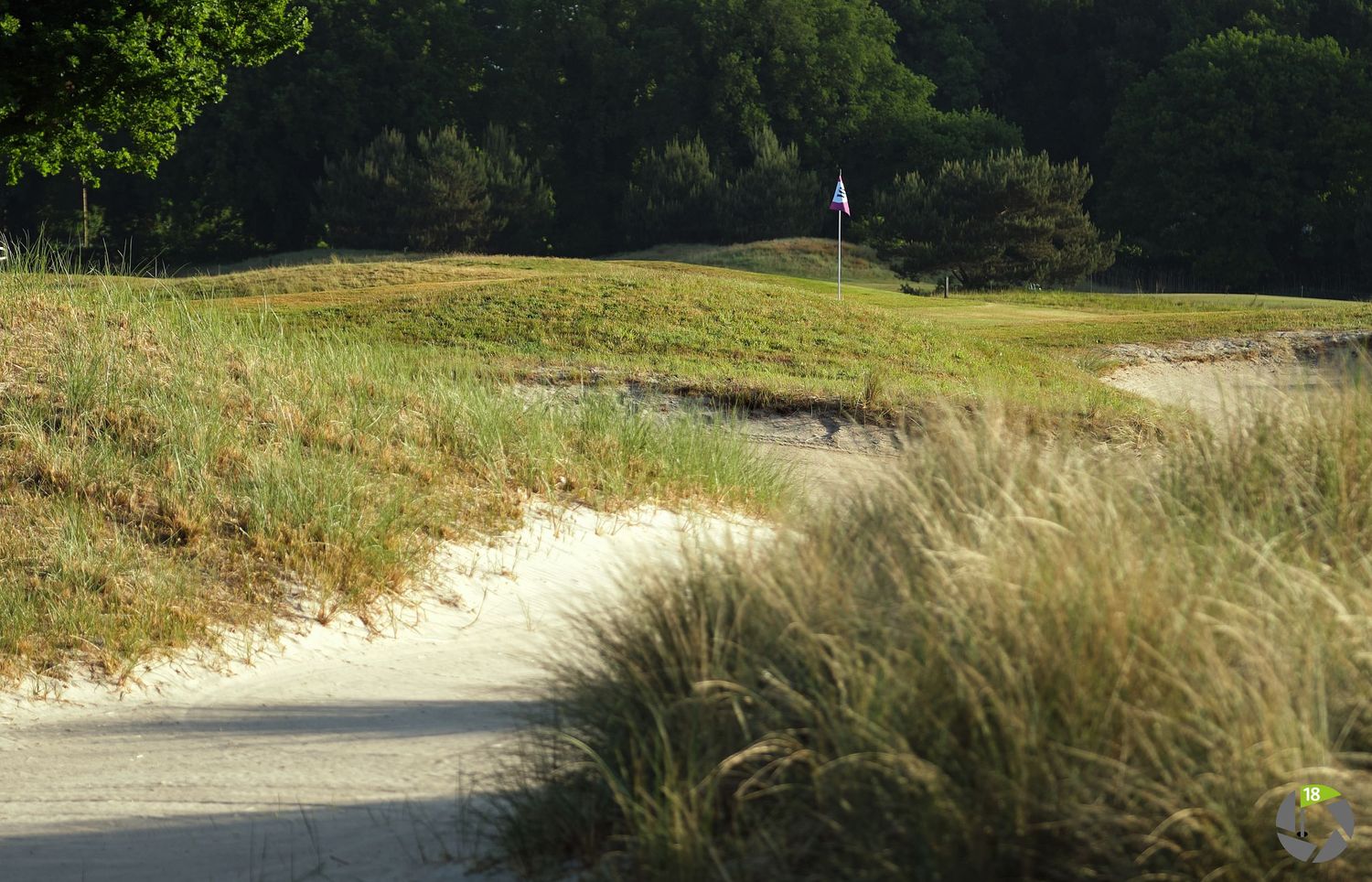 Golf course hole with white sand bunker, wild grass, and a flag on a sunny day.