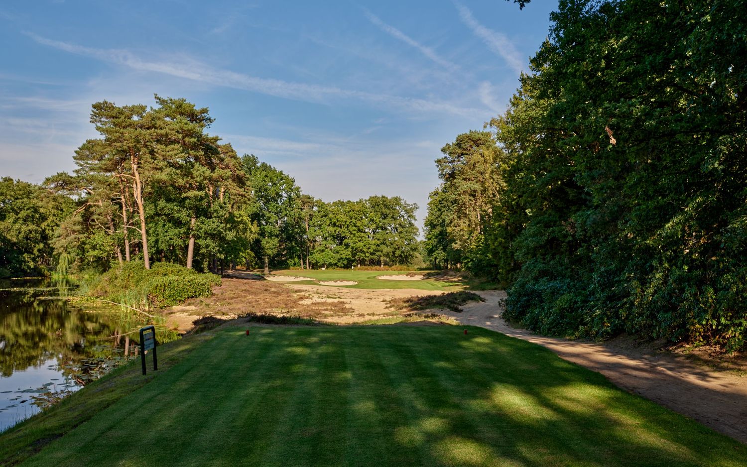 A scenic golf course fairway lined with tall pine trees stretches into the distance on a sunny day.