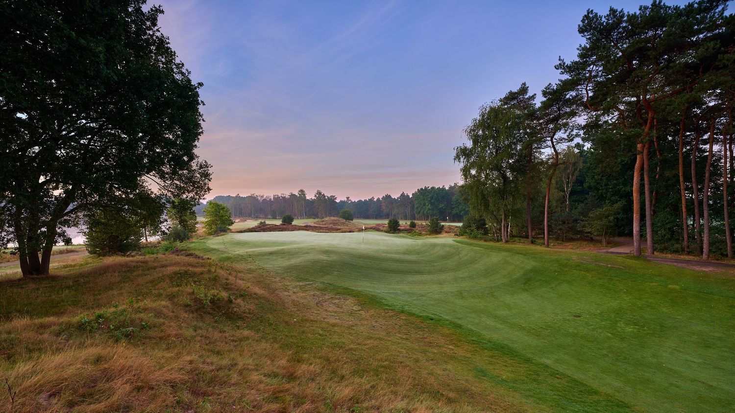 Tranquil golf course green surrounded by tall trees in soft evening light.