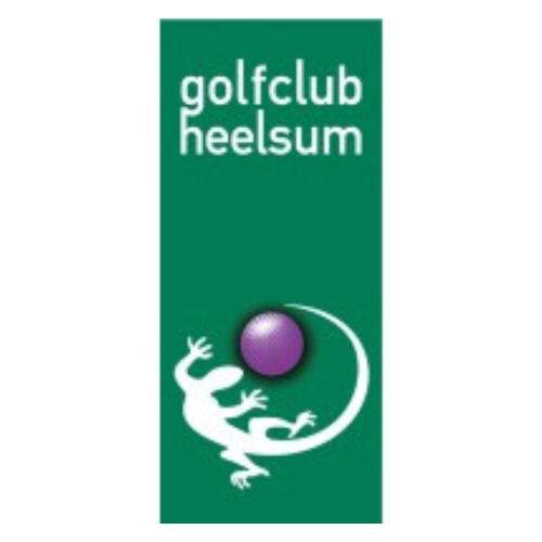 Green logo designs featuring stylized geckos and purple spheres in a minimalist corporate branding series.