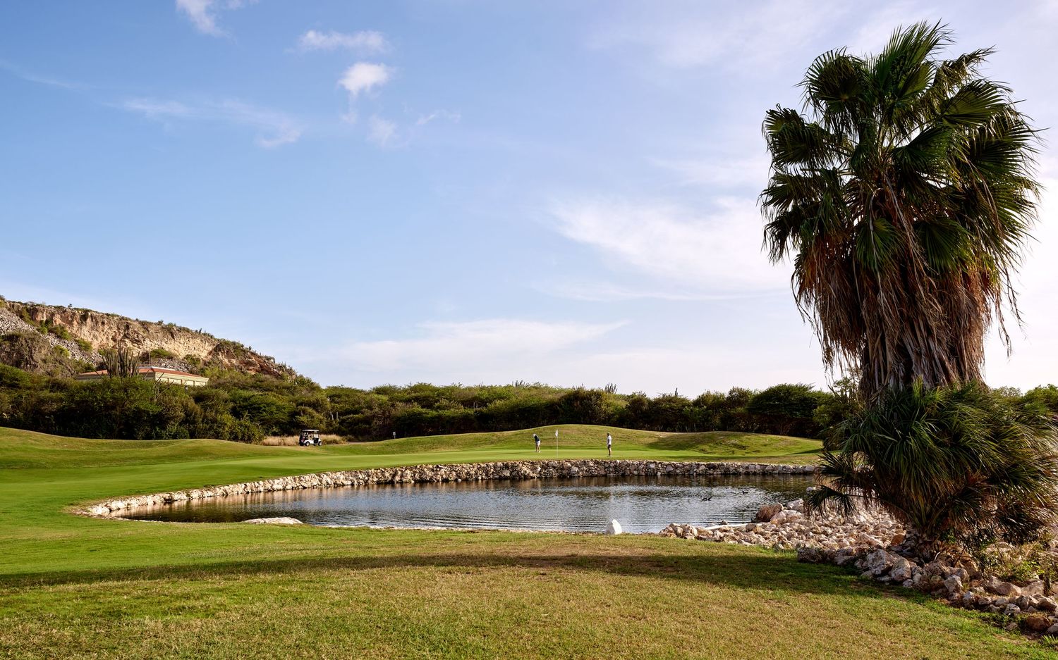 A scenic panorama of a coastal golf course with palm trees, mountains, and ocean views stretching across the horizon.
