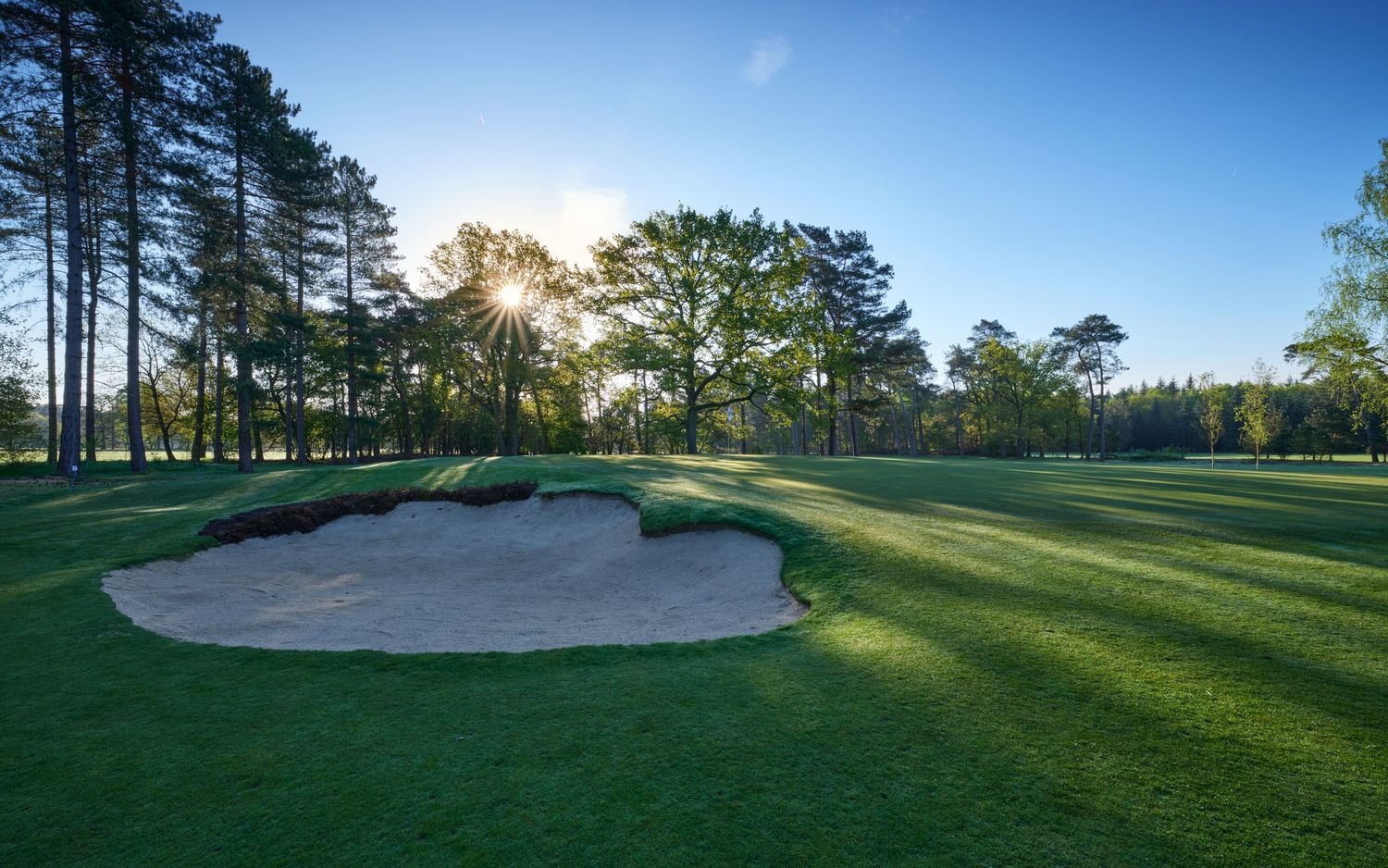 Sunlit golf course fairway with a large sand bunker, lush green grass, and tall pine trees at sunset.