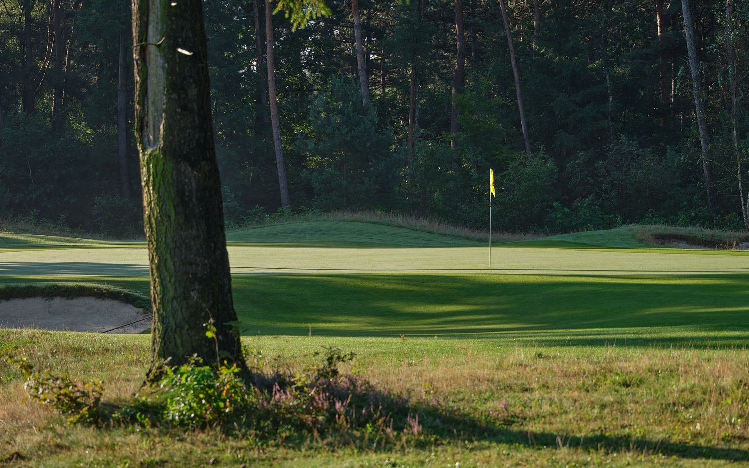 A scenic panoramic view of a lush green golf course with tall trees lining the fairway on a sunny day.