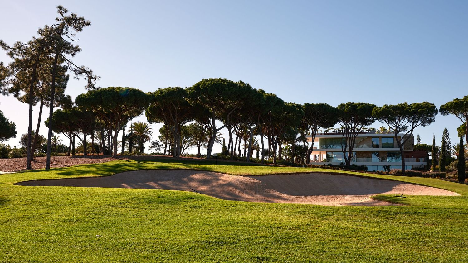 Golf course sand bunker surrounded by tall pine trees and manicured green fairway under a clear blue sky.