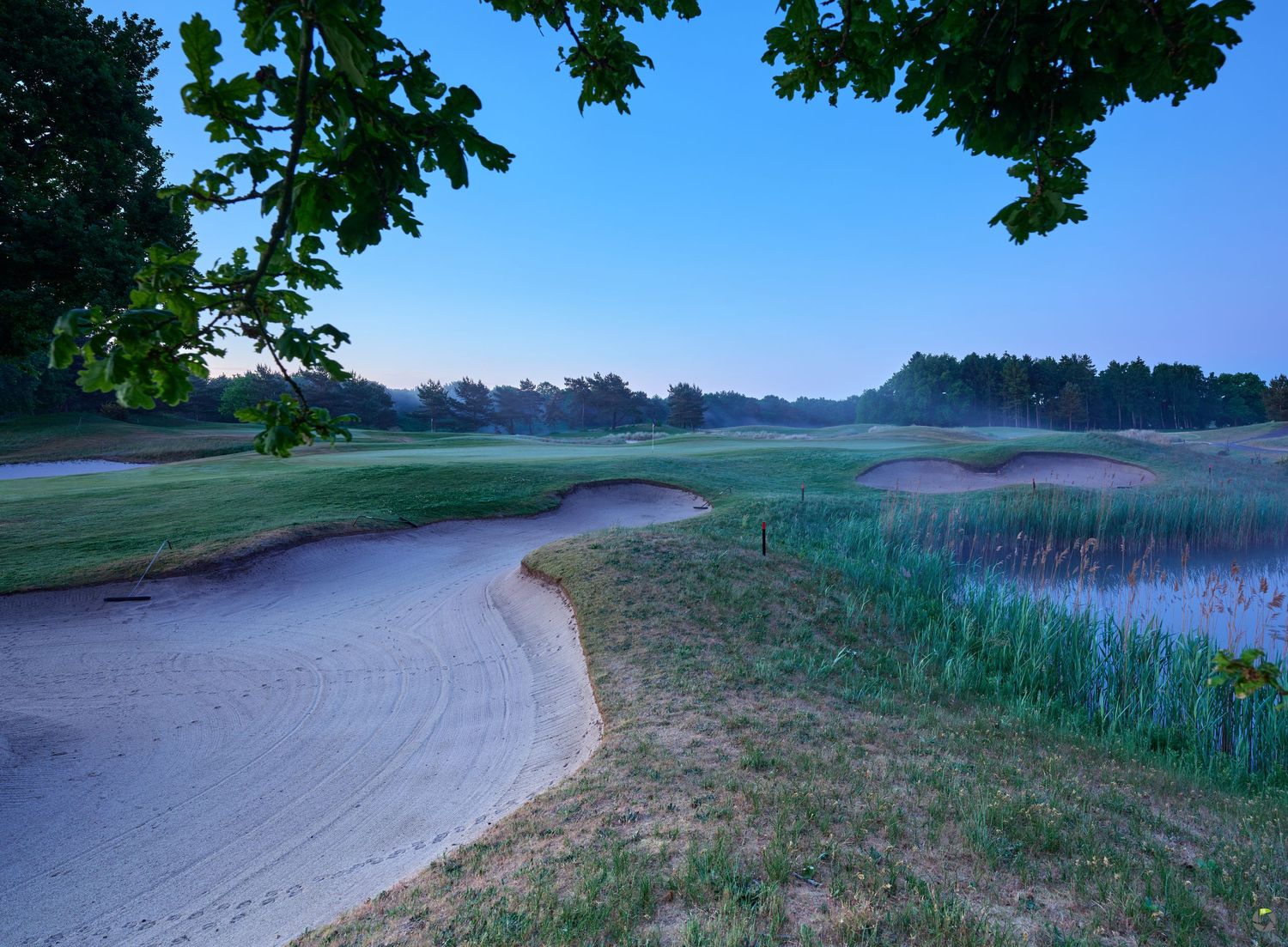 Golf course sand bunker beside a tranquil water hazard at dusk, framed by oak tree branches.