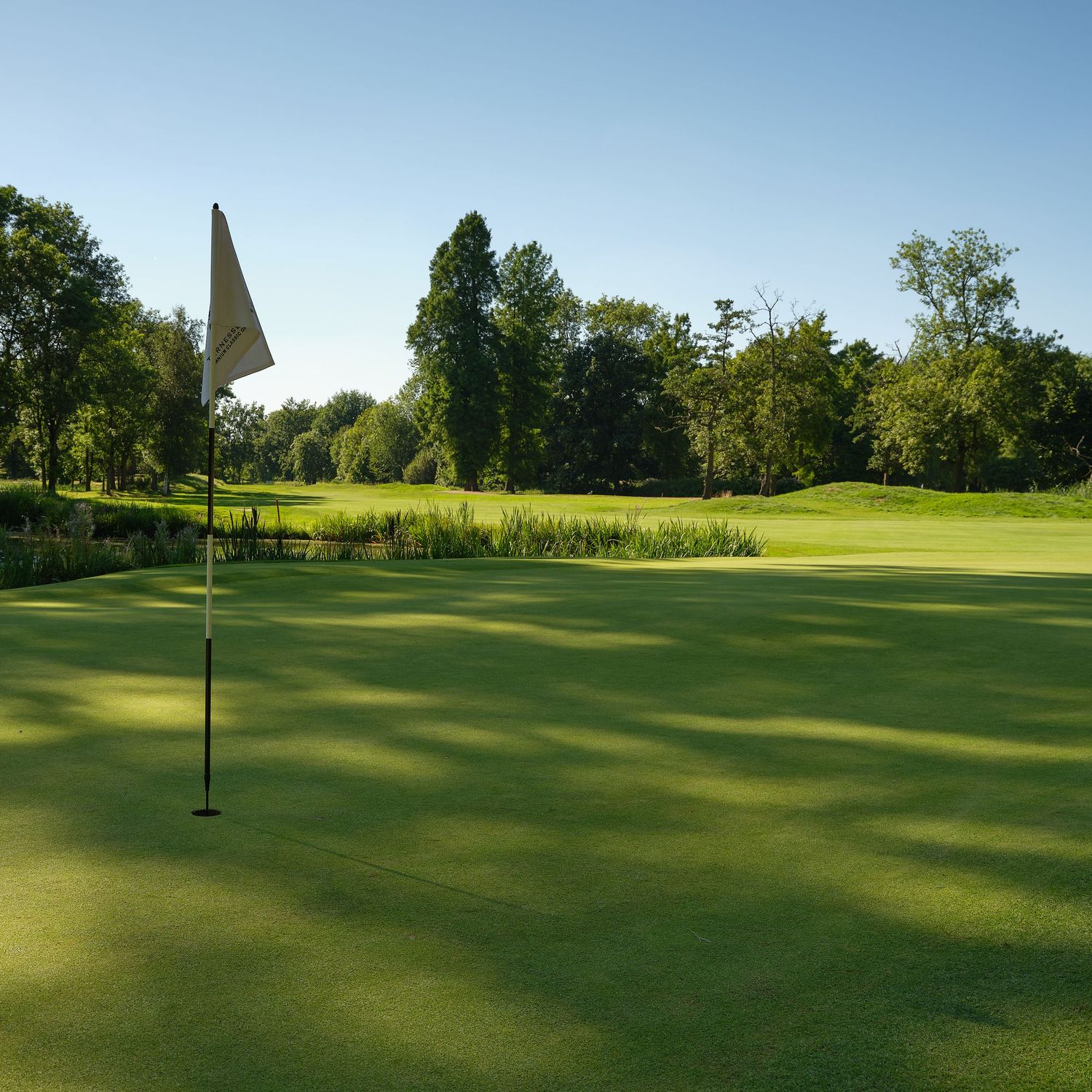 Sunny golf course green with white flag pin, lush fairway, and trees under clear blue sky.